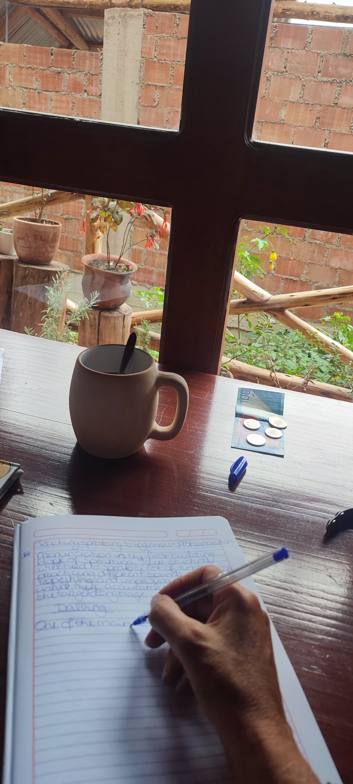 Learning with a view