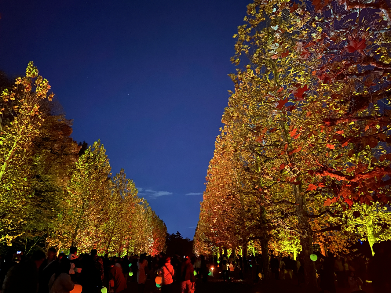 The lights at Shinjuku Park.