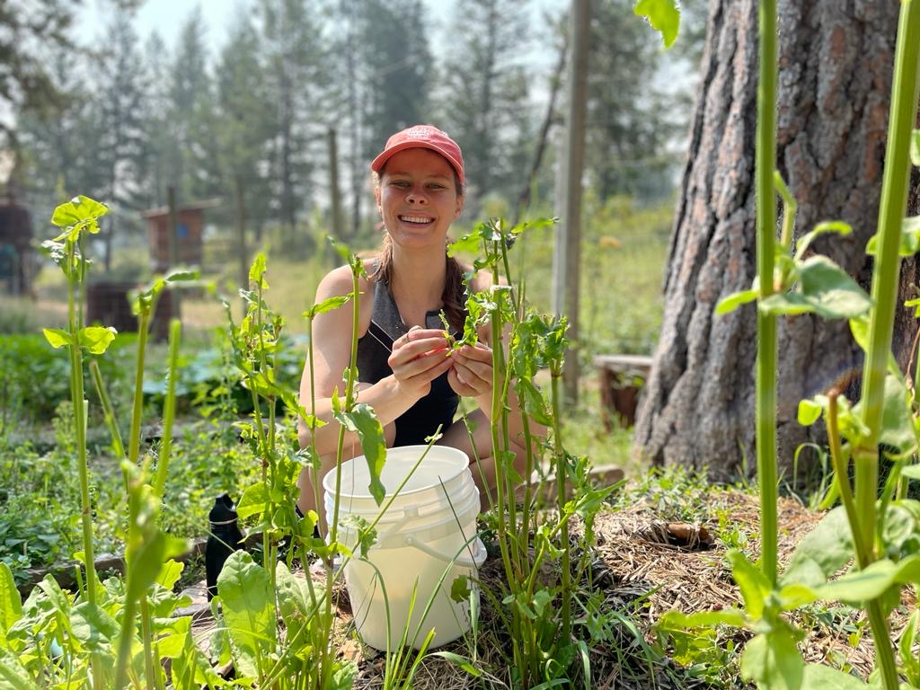 Healing time harvesting in the garden—later to nourish our bodies!!