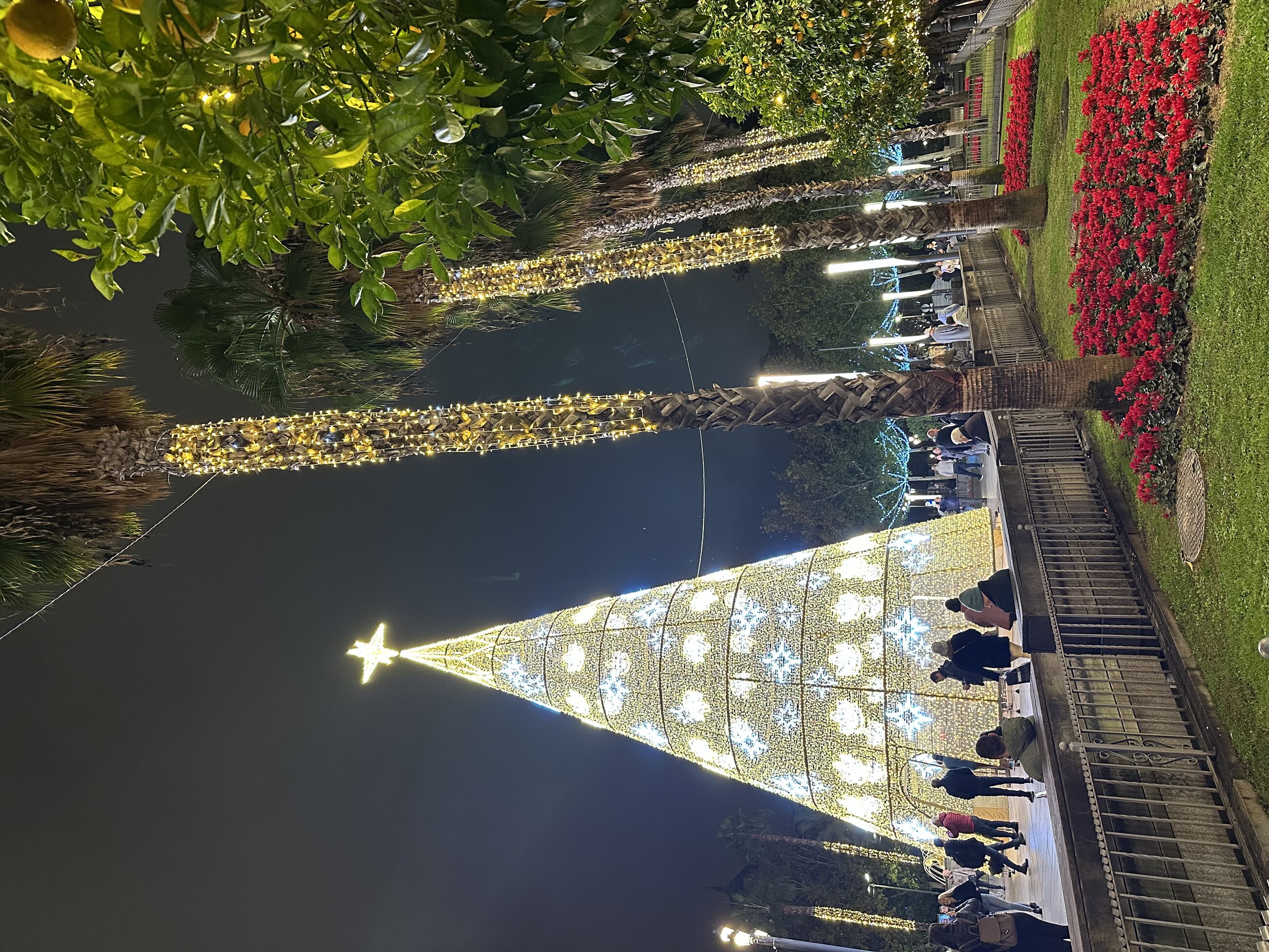 christmas time in Sevilla