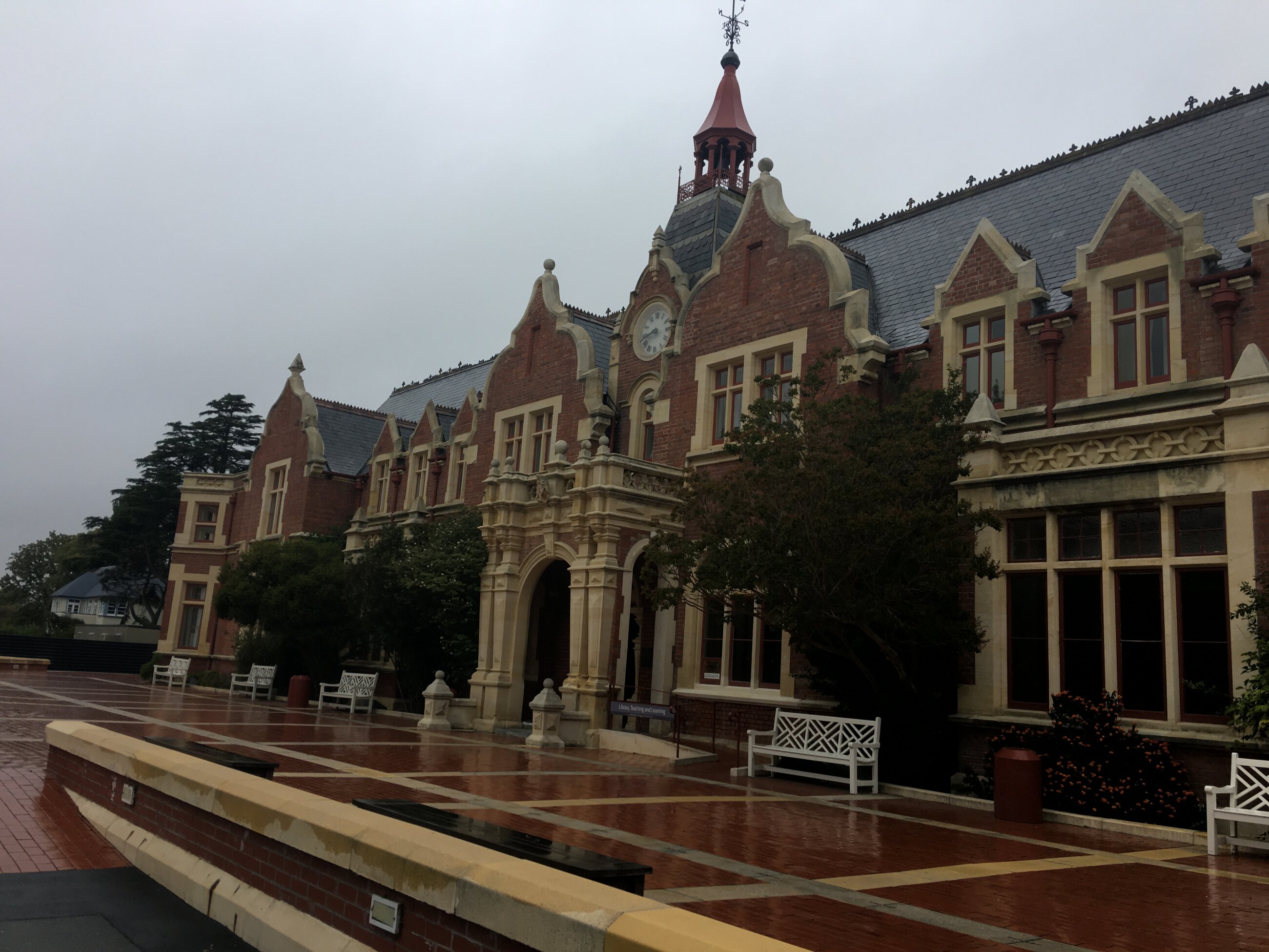 Library on a Rainy Day