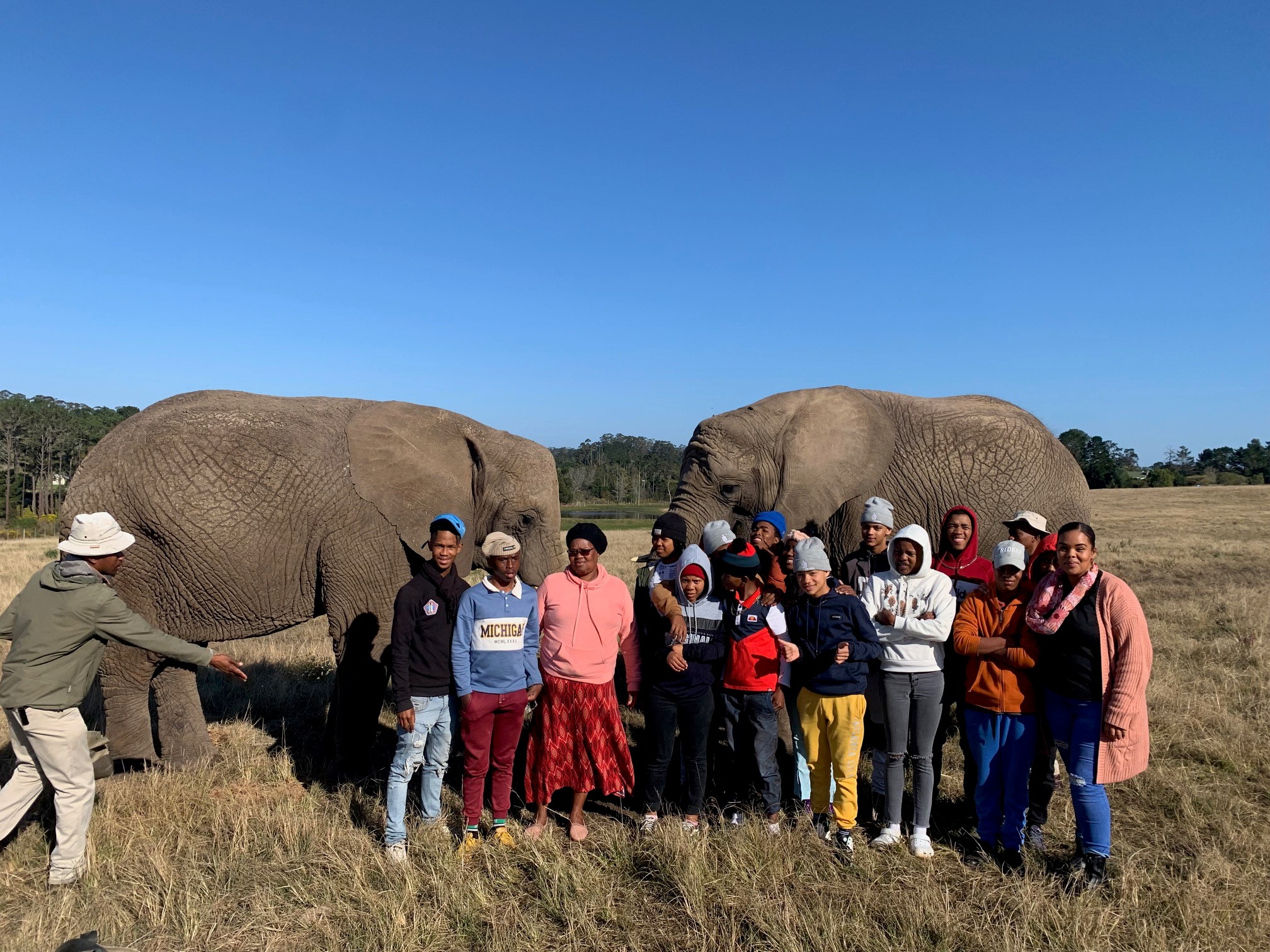Visiting Knysna Elephant Park