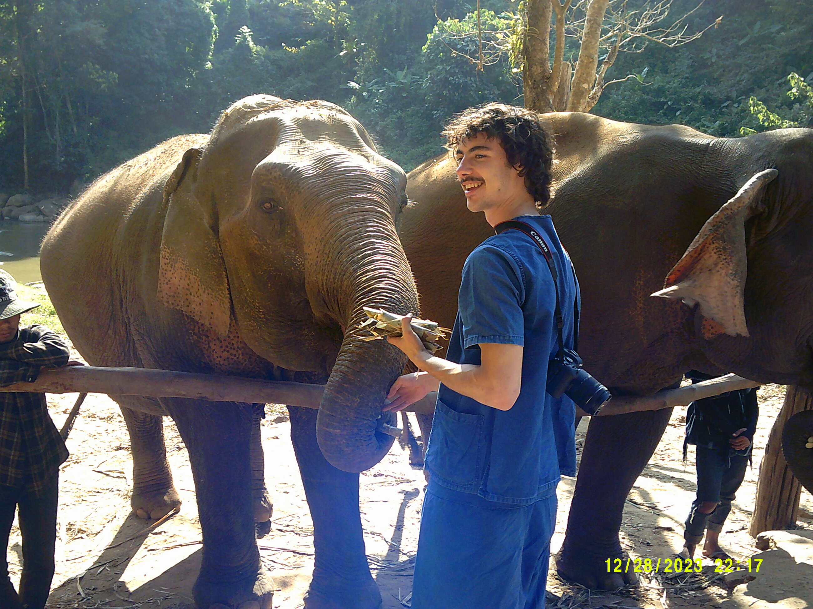 Feeding the elephants! 