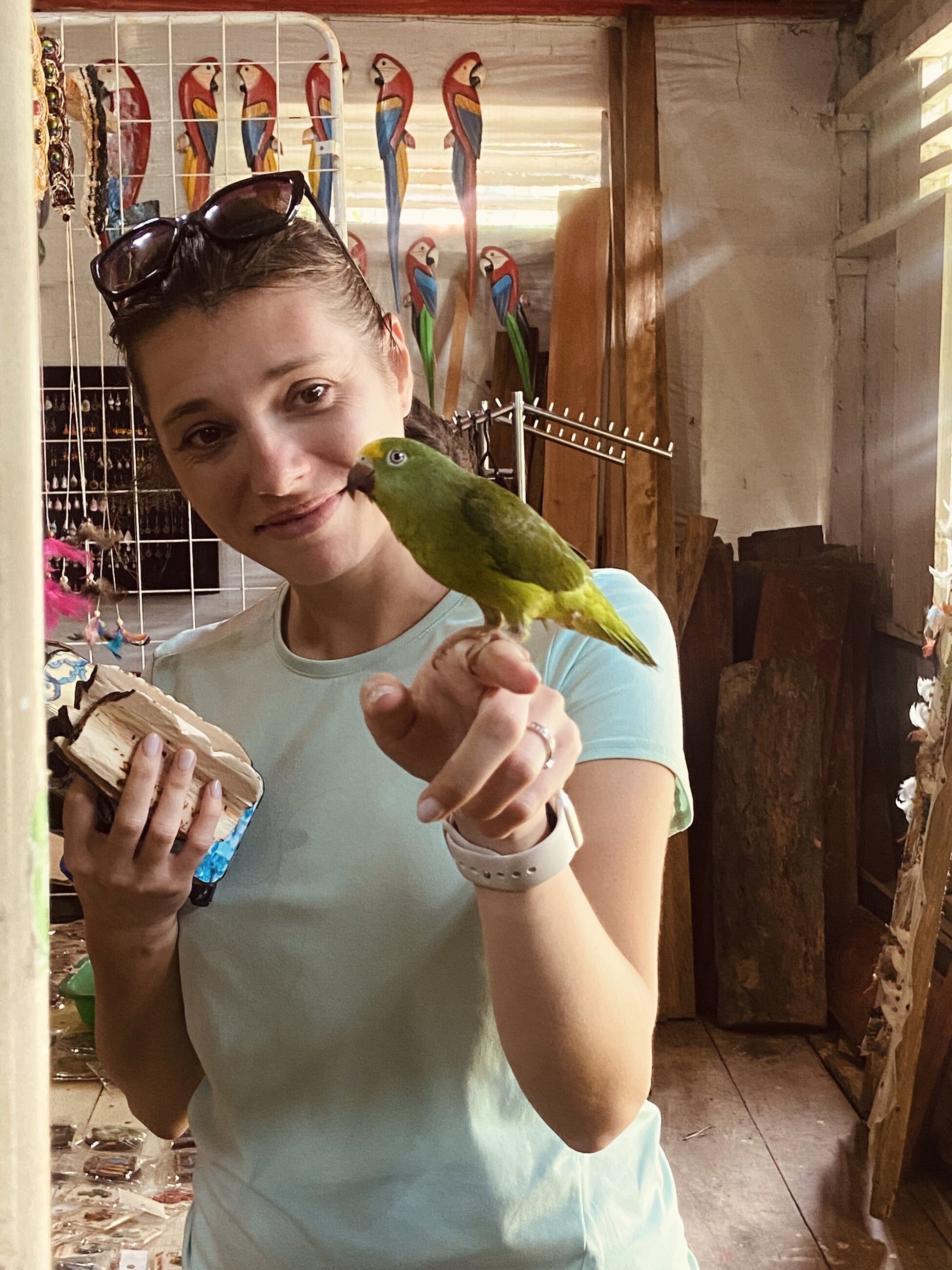Beautiful bird in the Amazon!