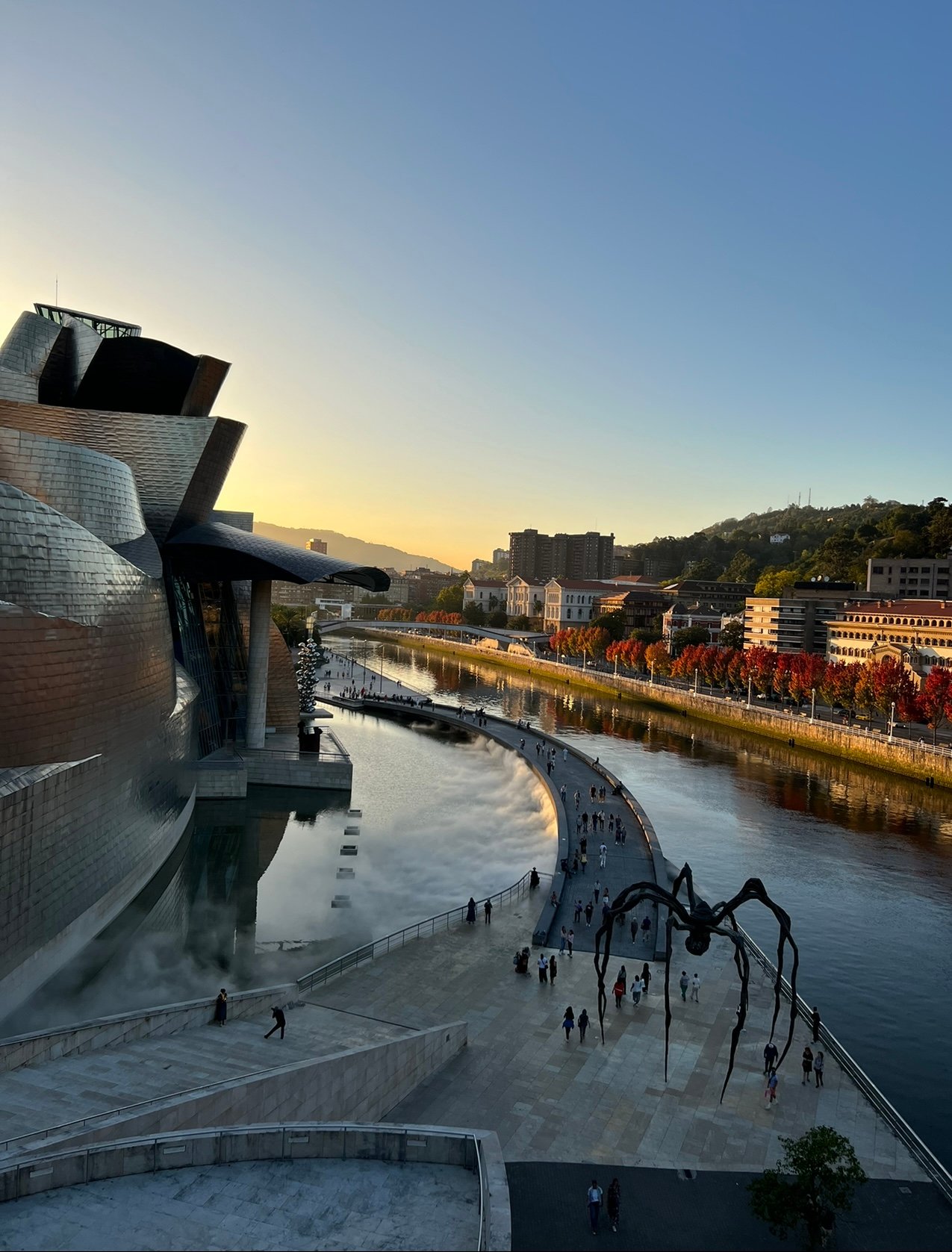 Guggenheim and Univeristy of Deusto along the river