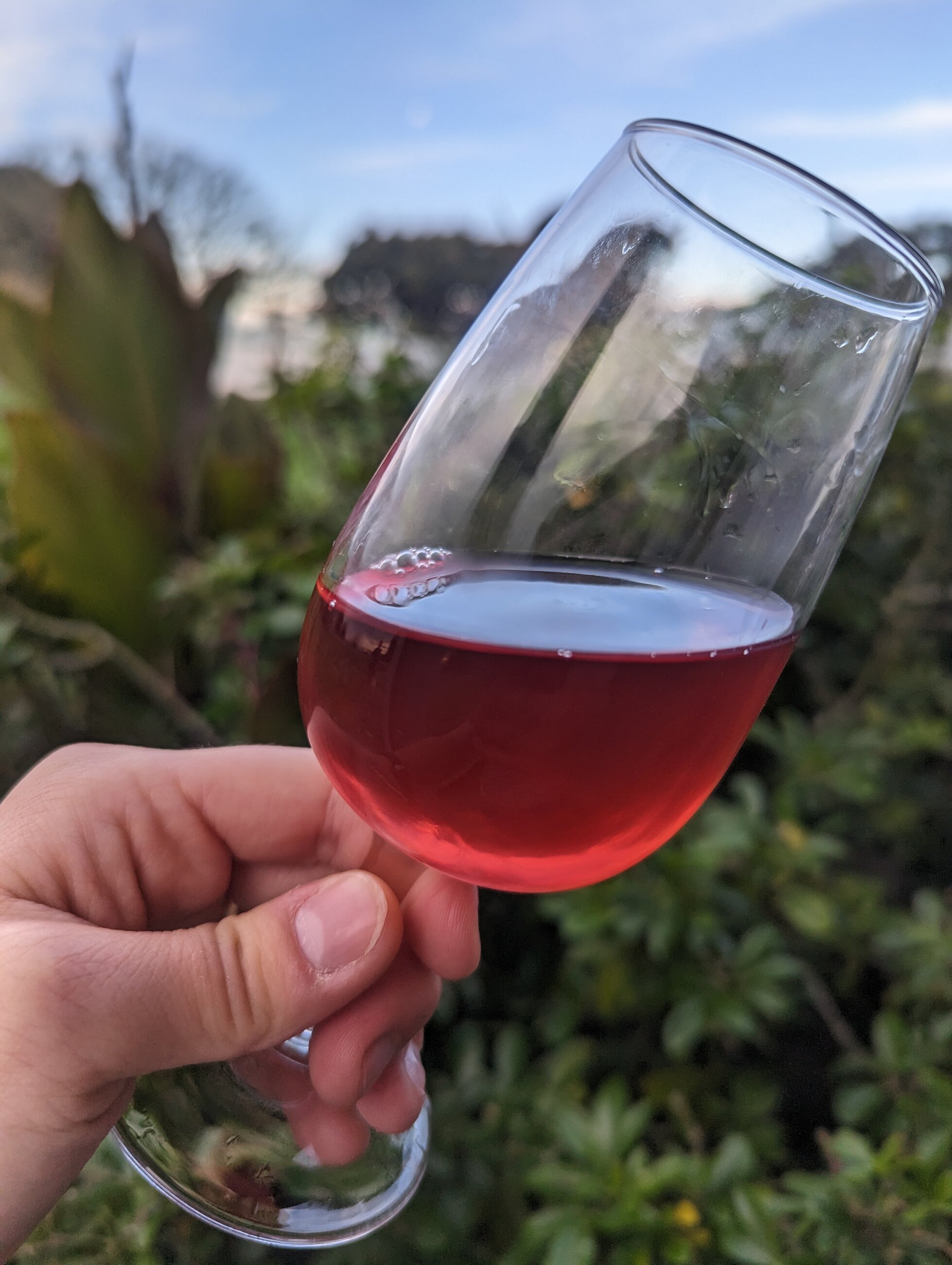 2023 Pinot Noir Rose that I made in Wine 201