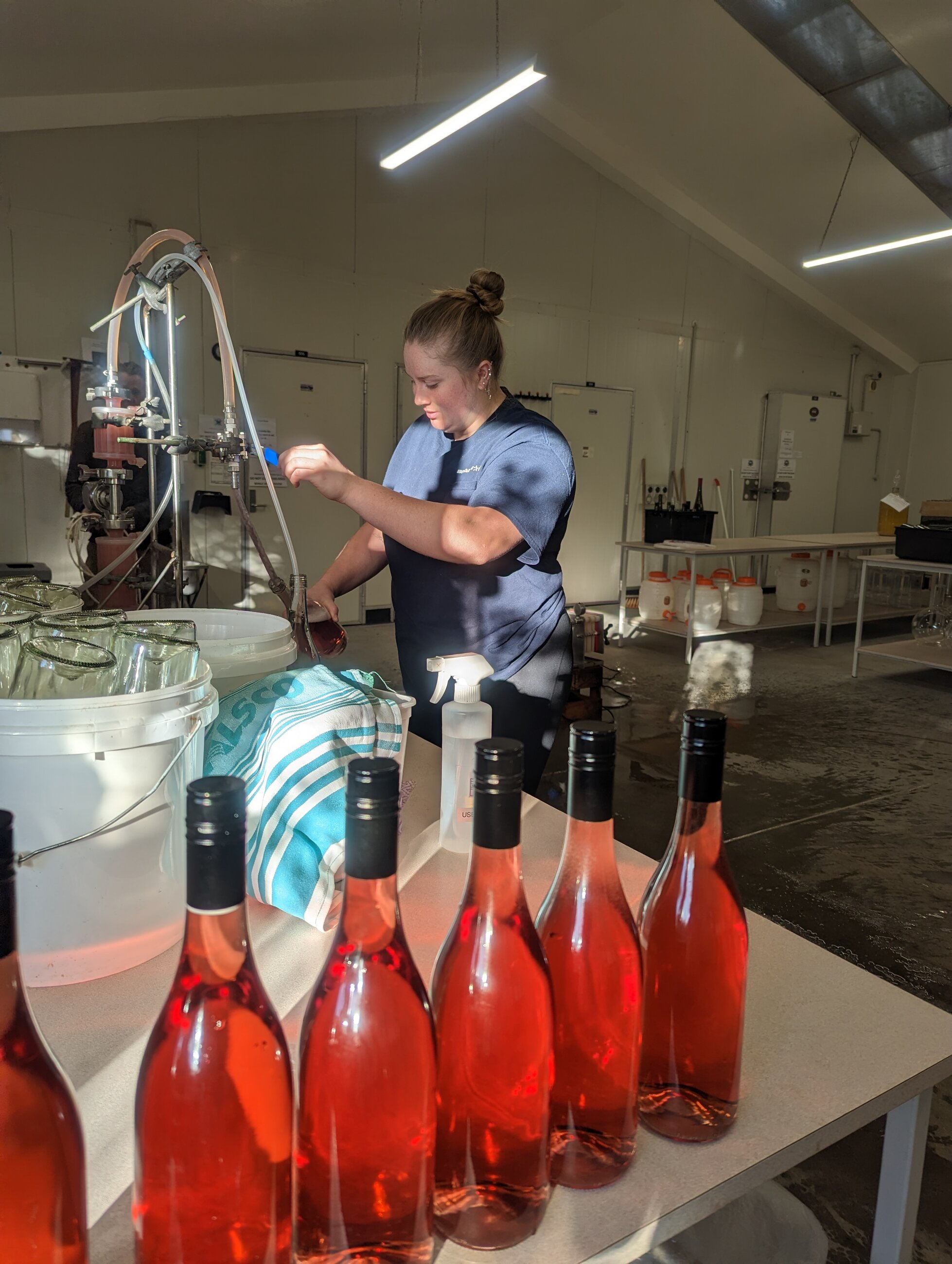 2023 Pinot Noir Rose