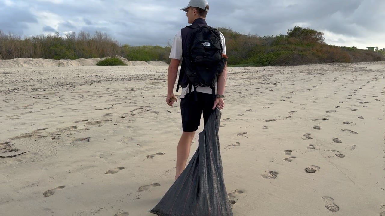Beach cleanup