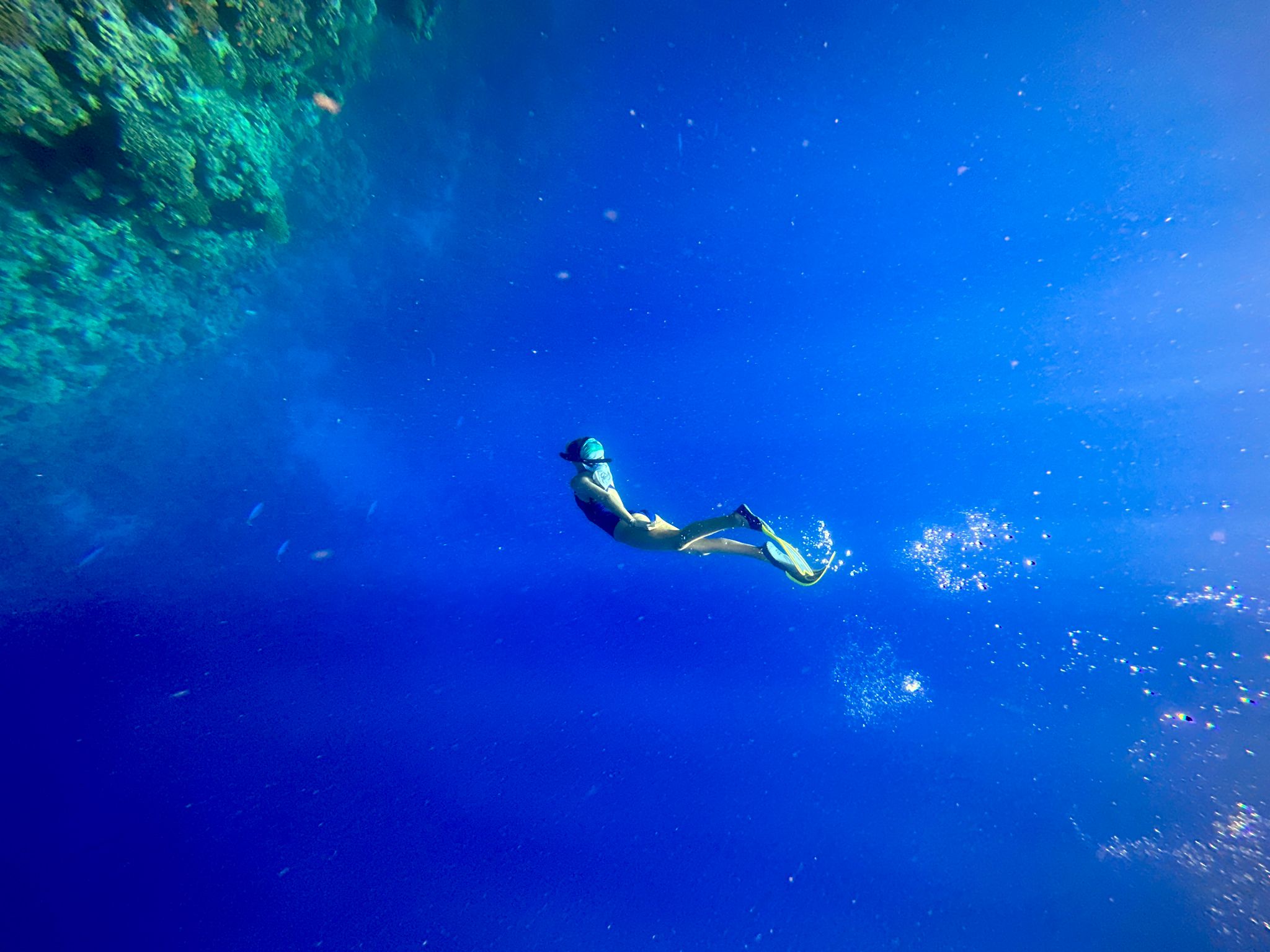 Red Sea - KAUST snorkeling