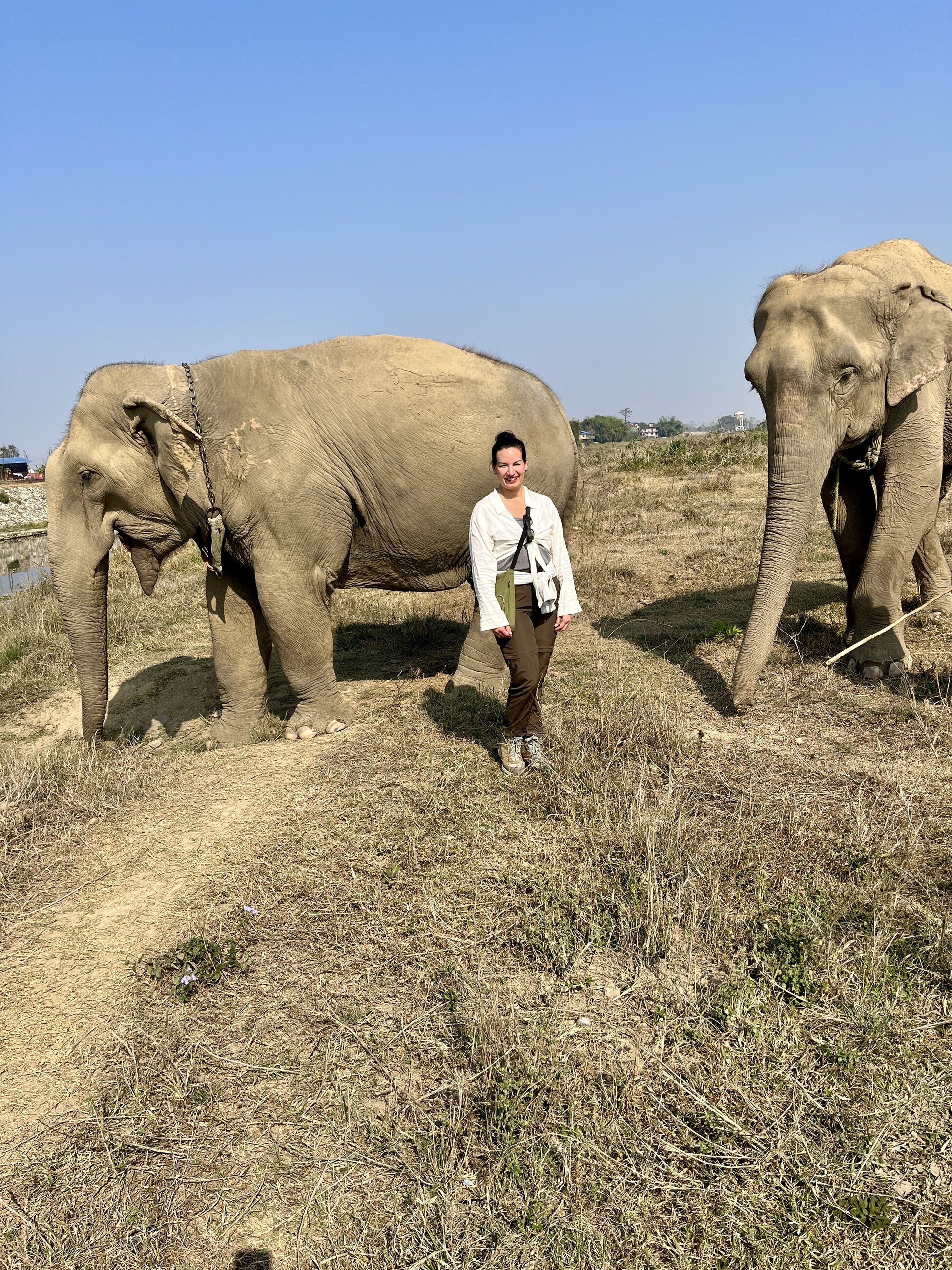 Elephant Conservation Project