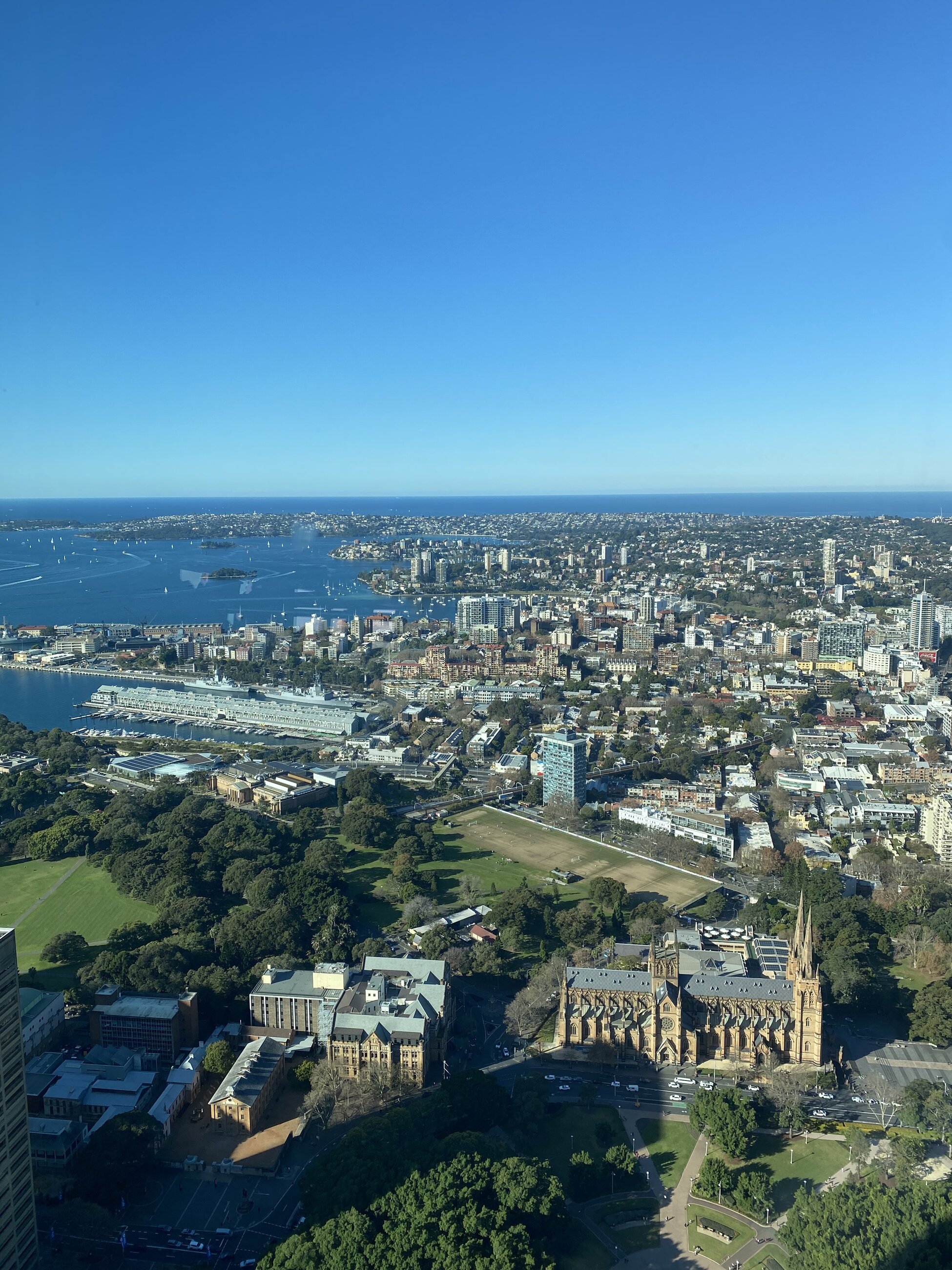 Sydney city view from Tower Eye