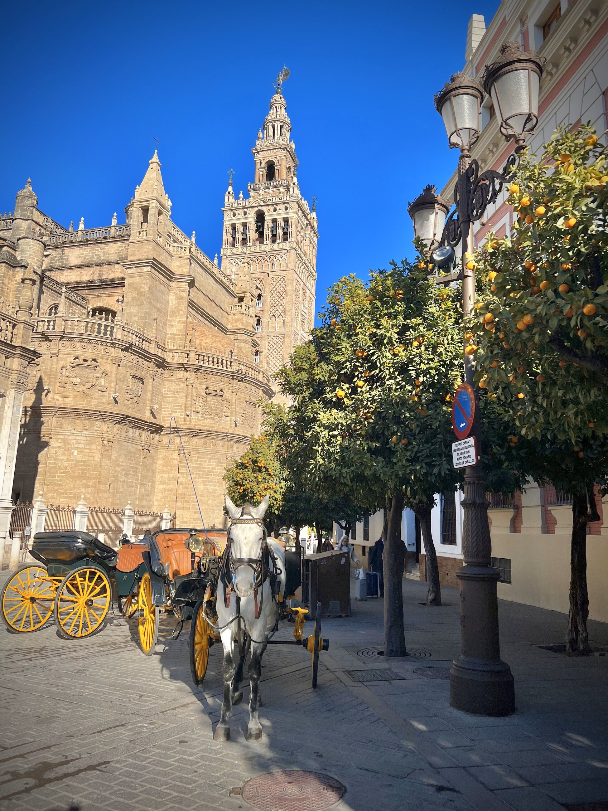 Catedral de Sevilla