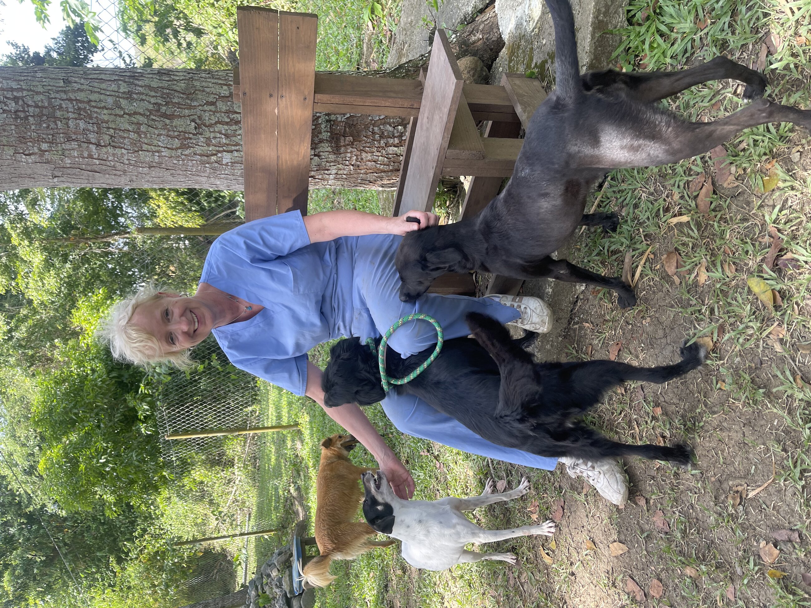 Playing with the rescue dogs