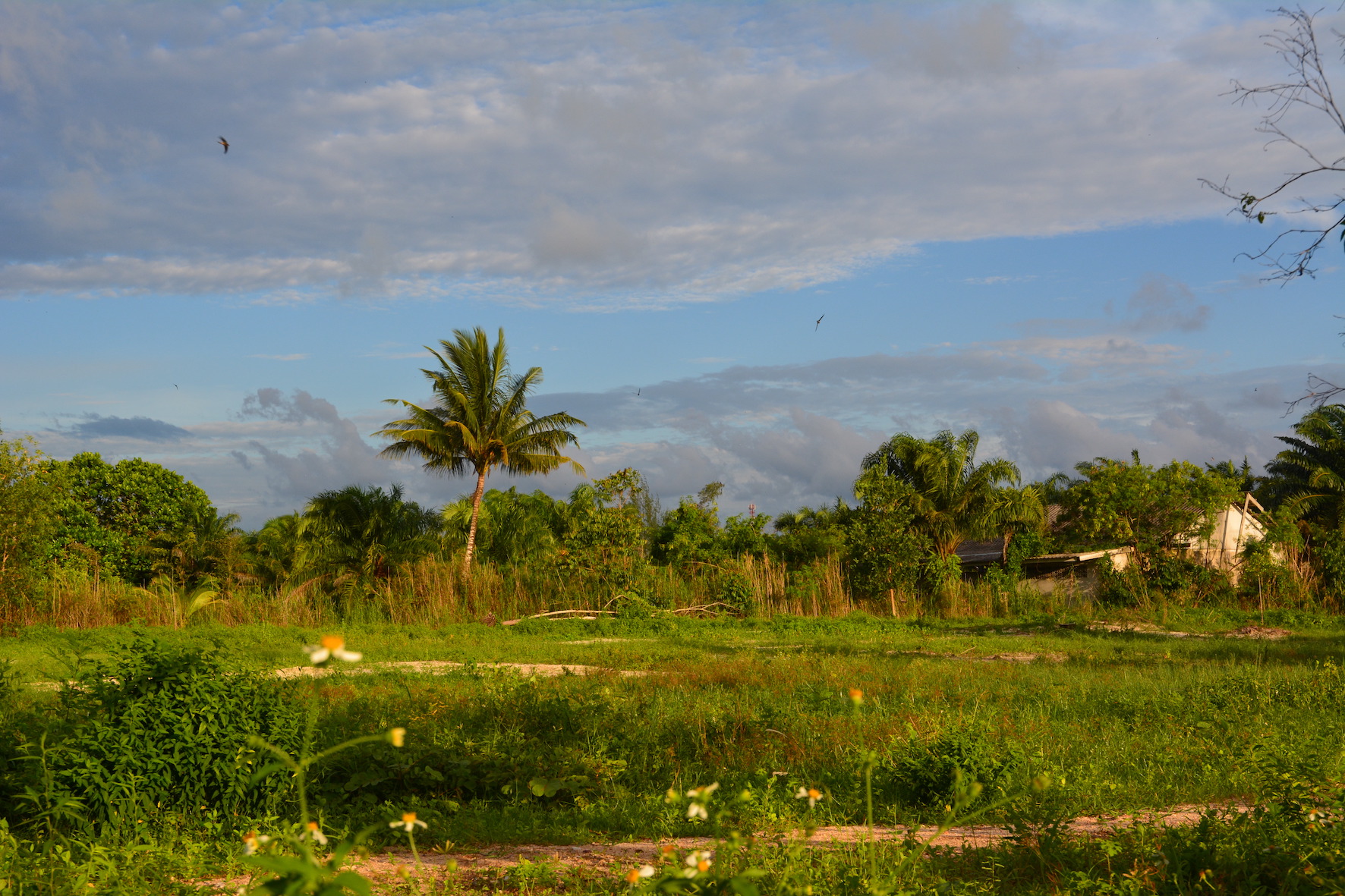 View next to base at Phang Nga