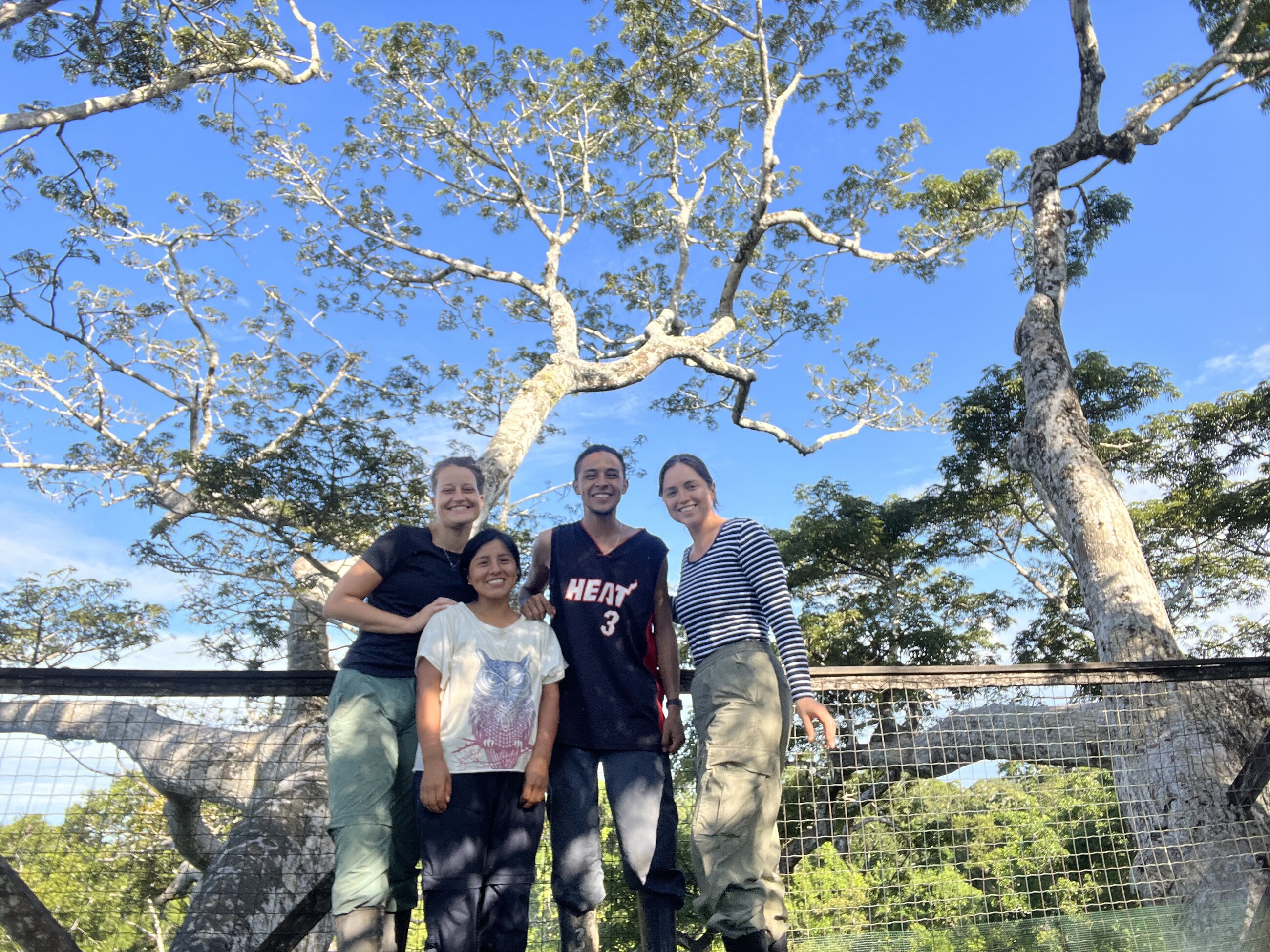 With the Taricaya team on m top is a tree of 40mts observing bird behaviour