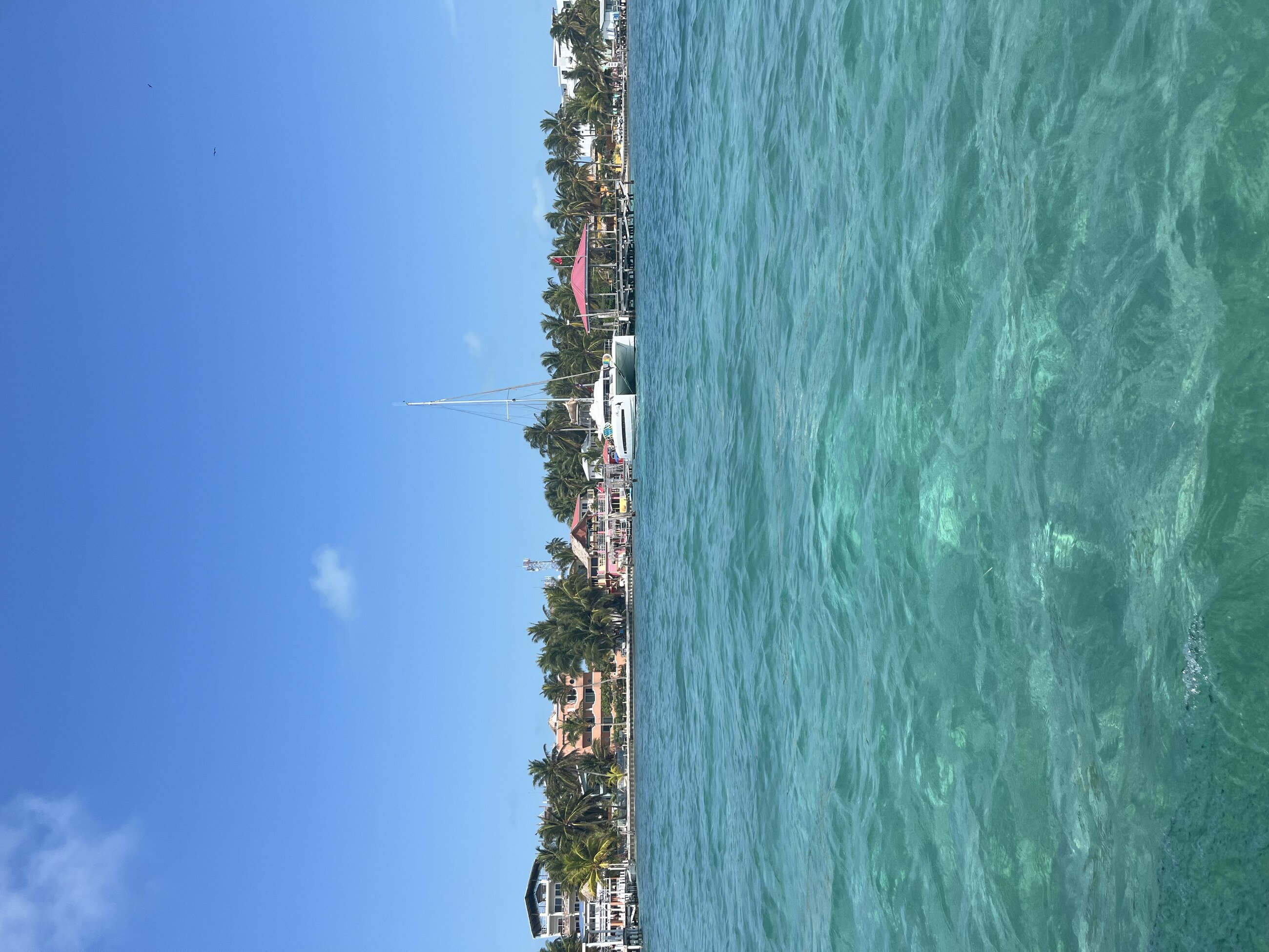 Snorkeling