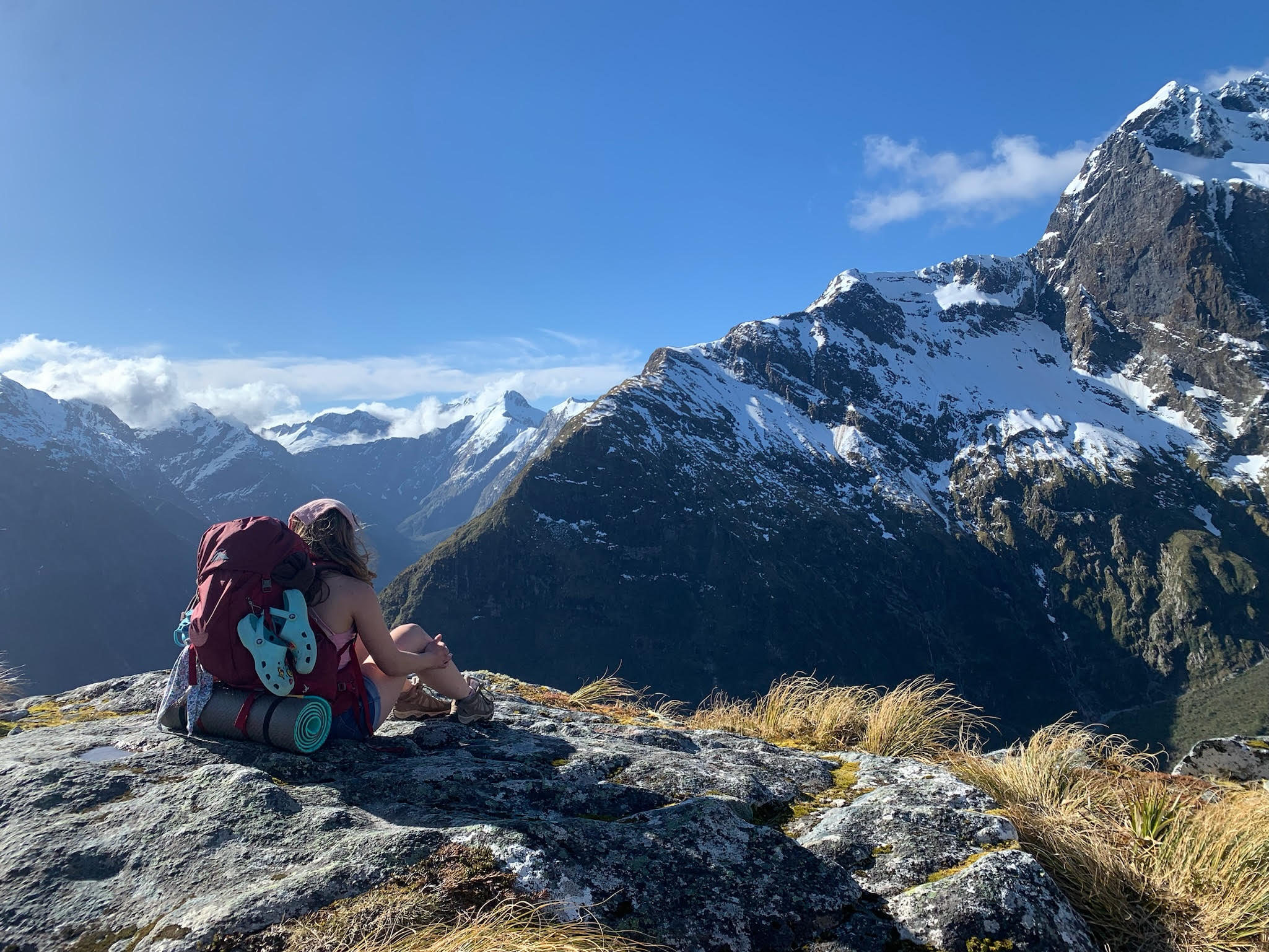 My view from the highest point of the 33 mile Milford Track hike in NZ!