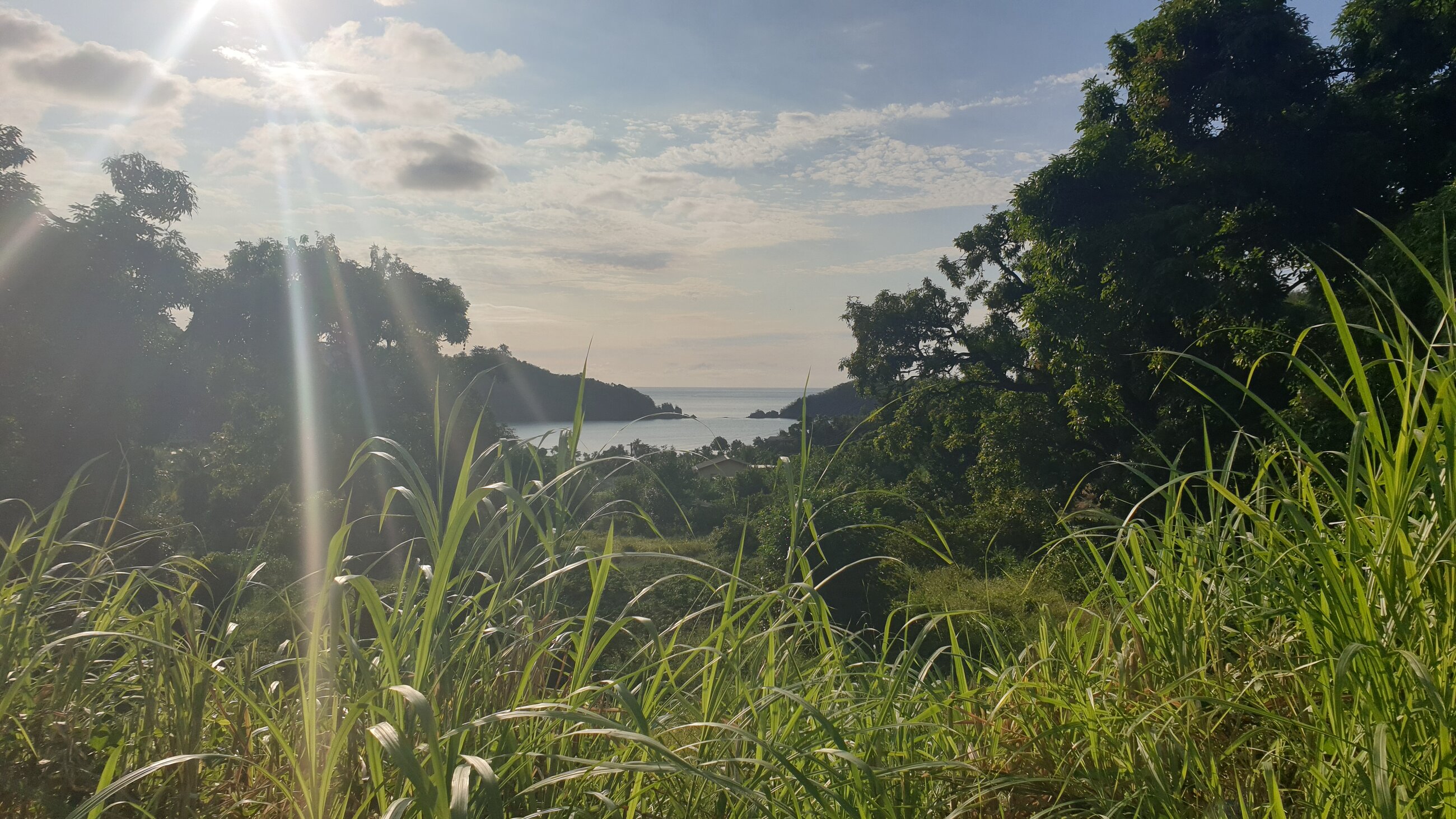 Walk to the beach