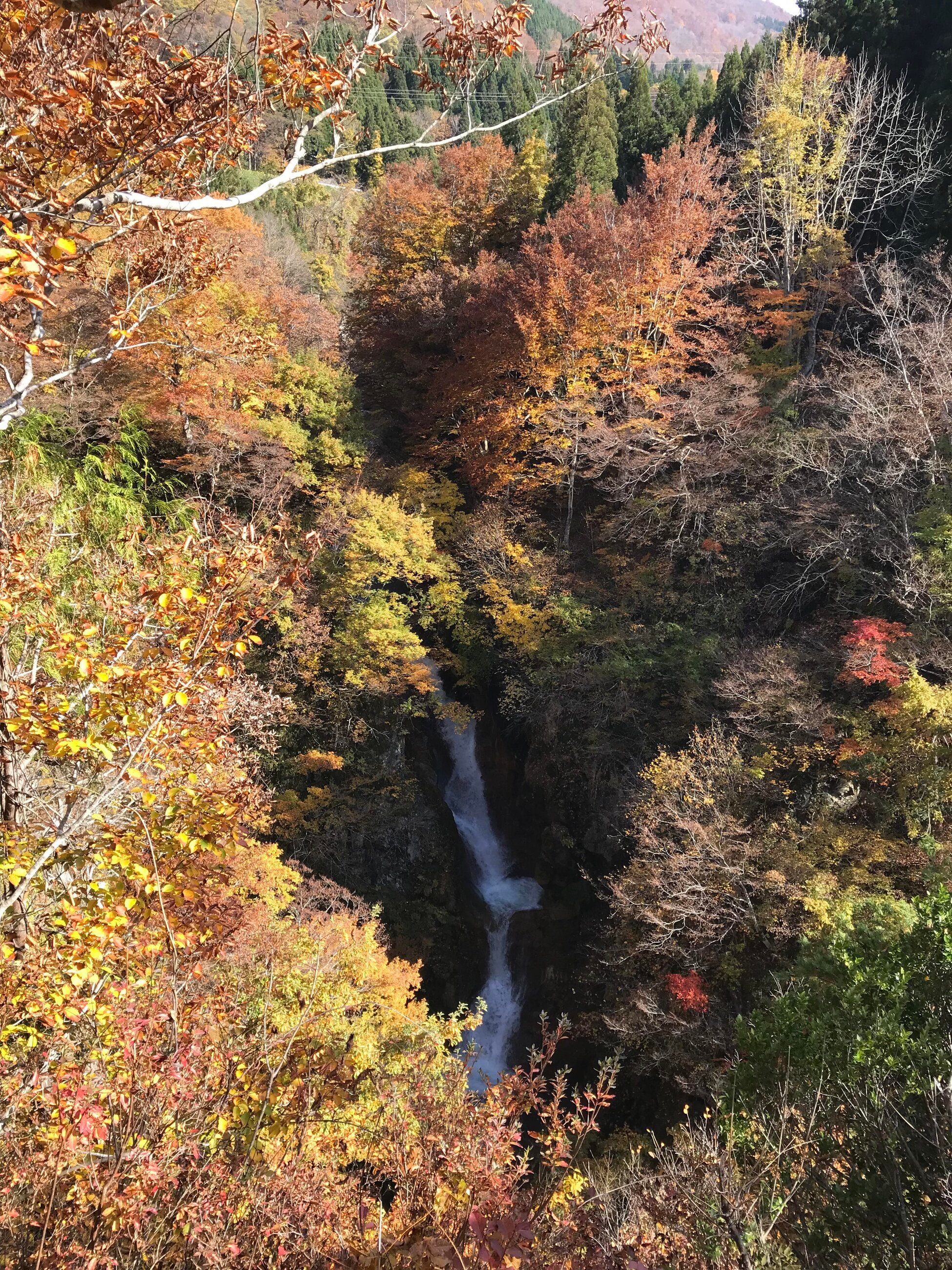 Japan is a beautiful country.
