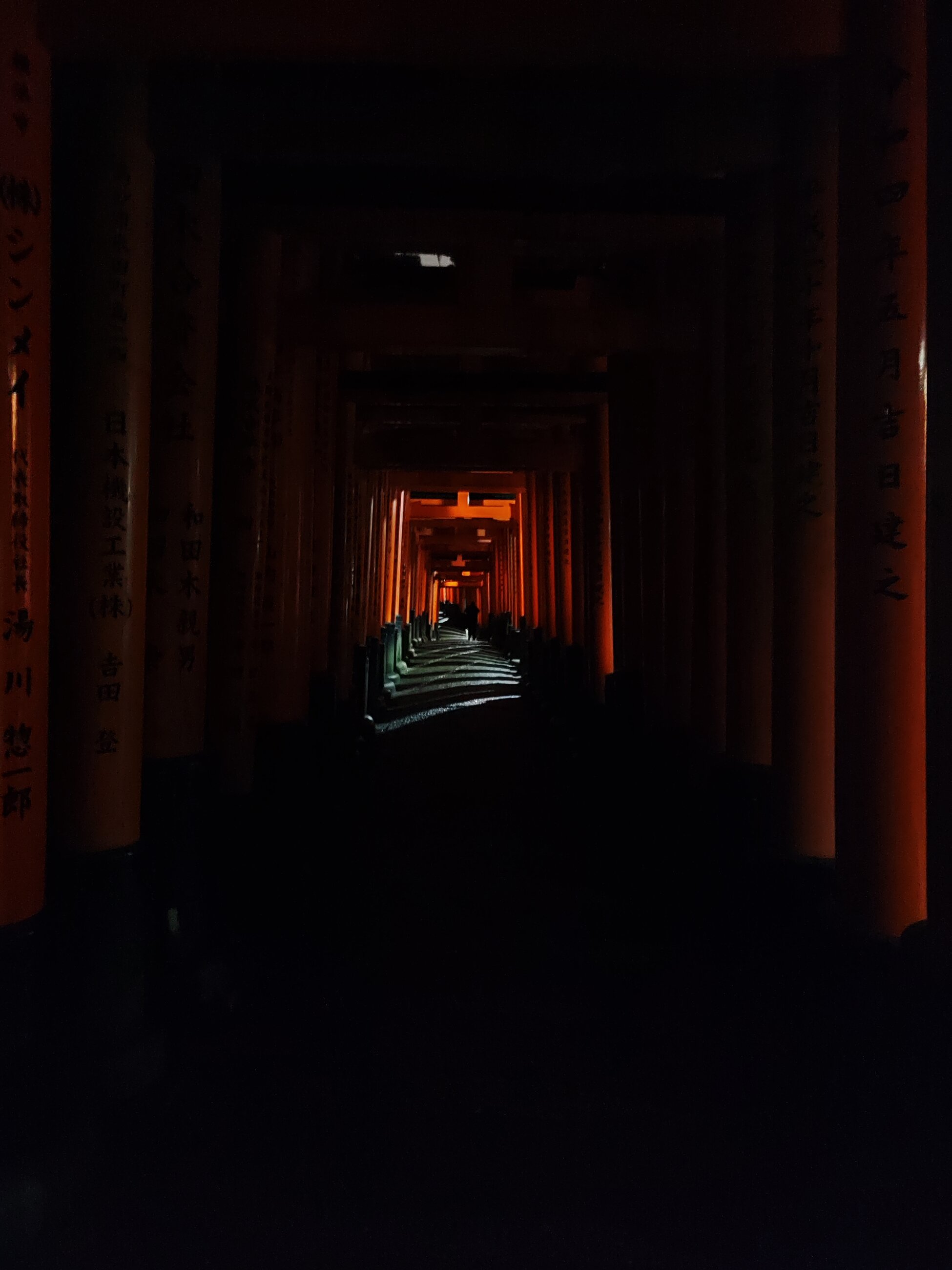 A photo I took during a short trip to Kyoto, which the Beyond Academy local team were key in encouraging me to go.