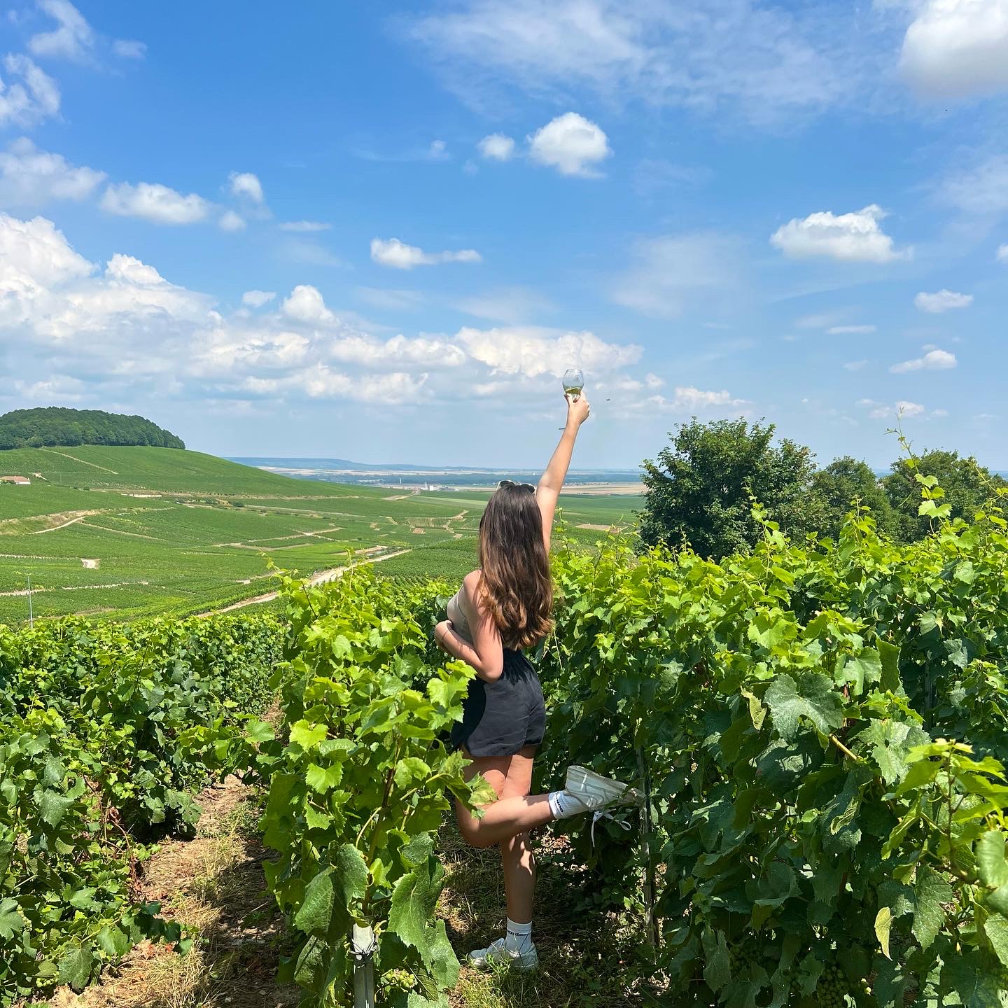 Weekend trip to Champagne, the home of champagne!