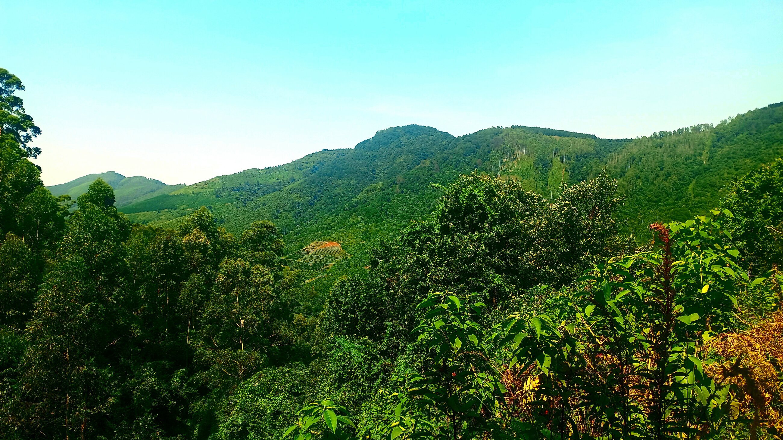 View from Barn