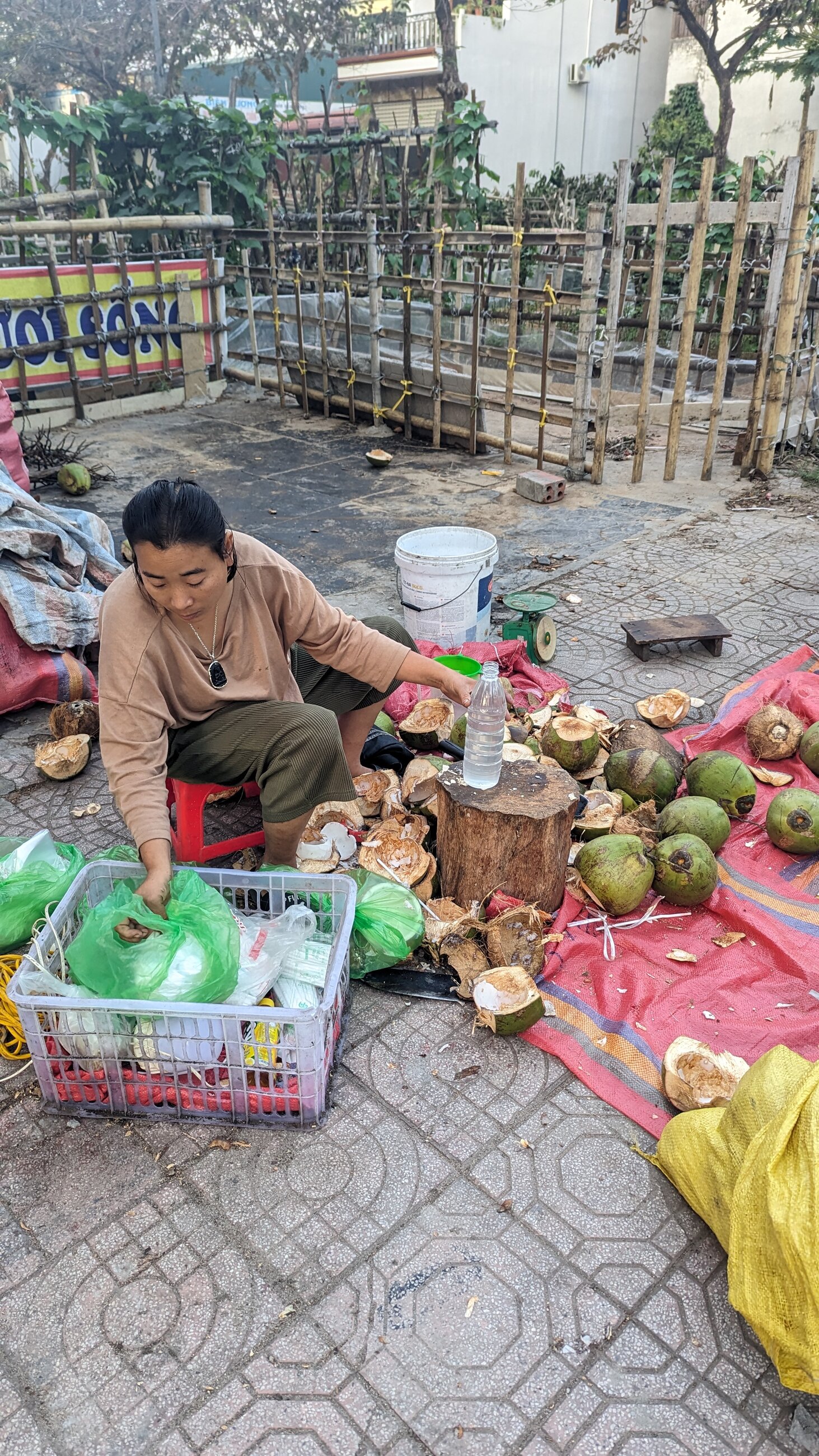 Fresh coconut water in the morning