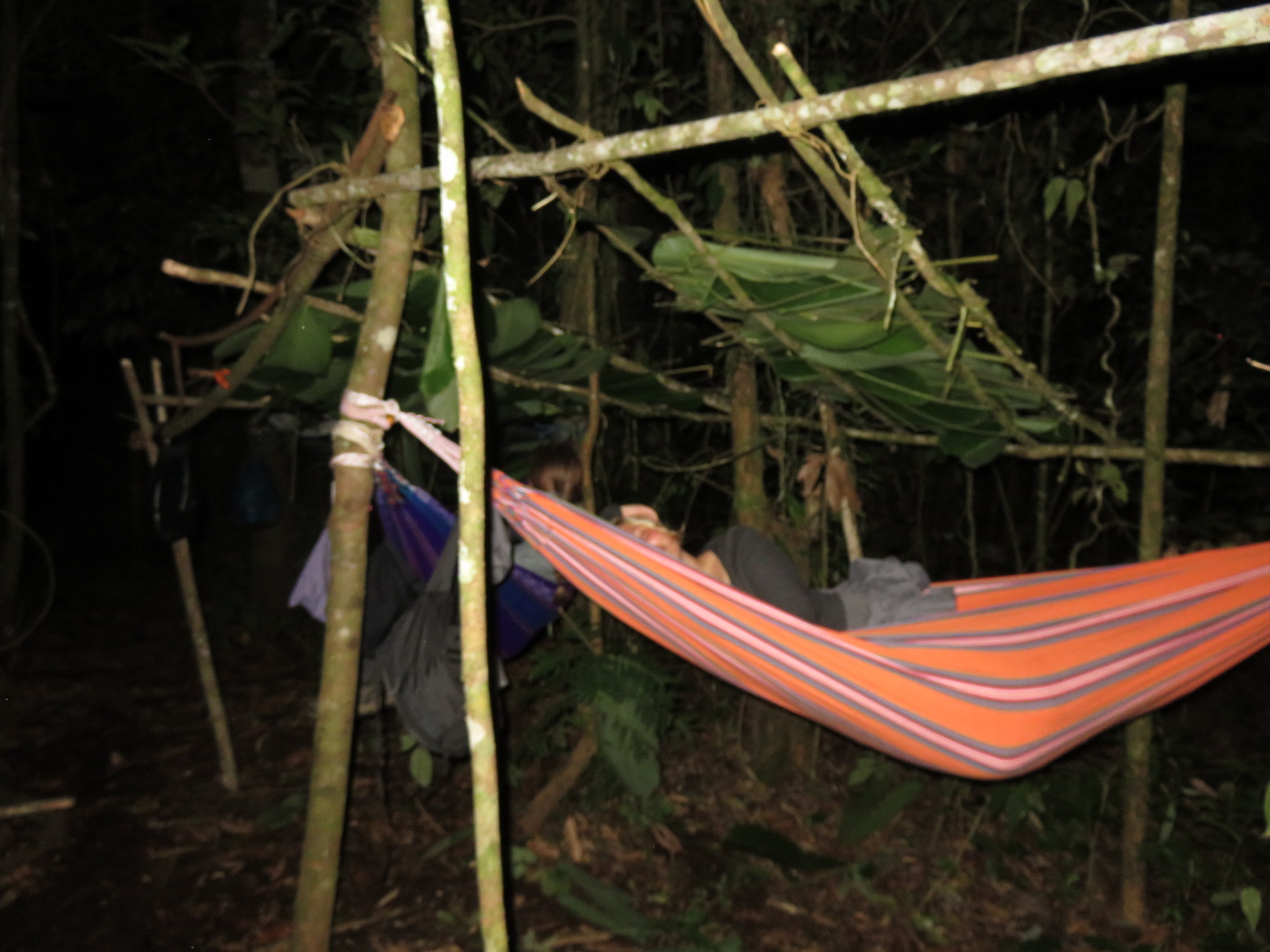 Sleeping in the jungle