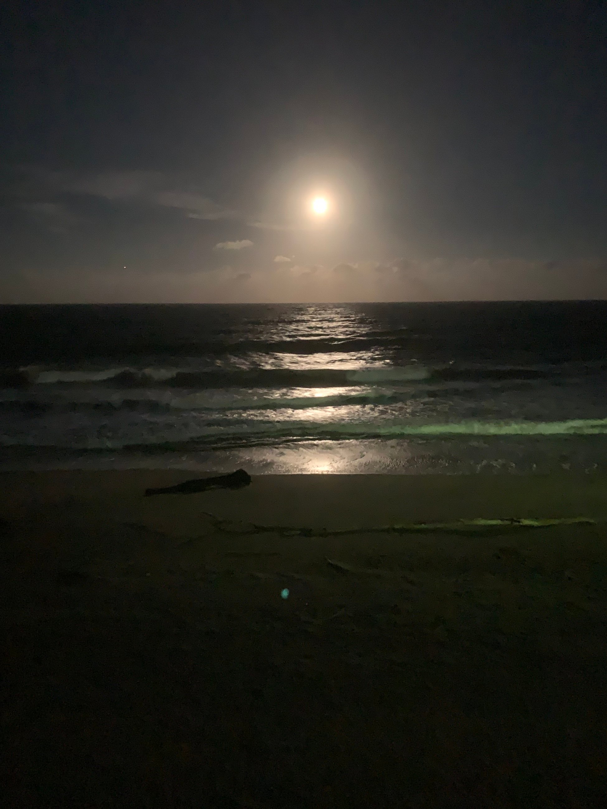 The moon-lit sea
