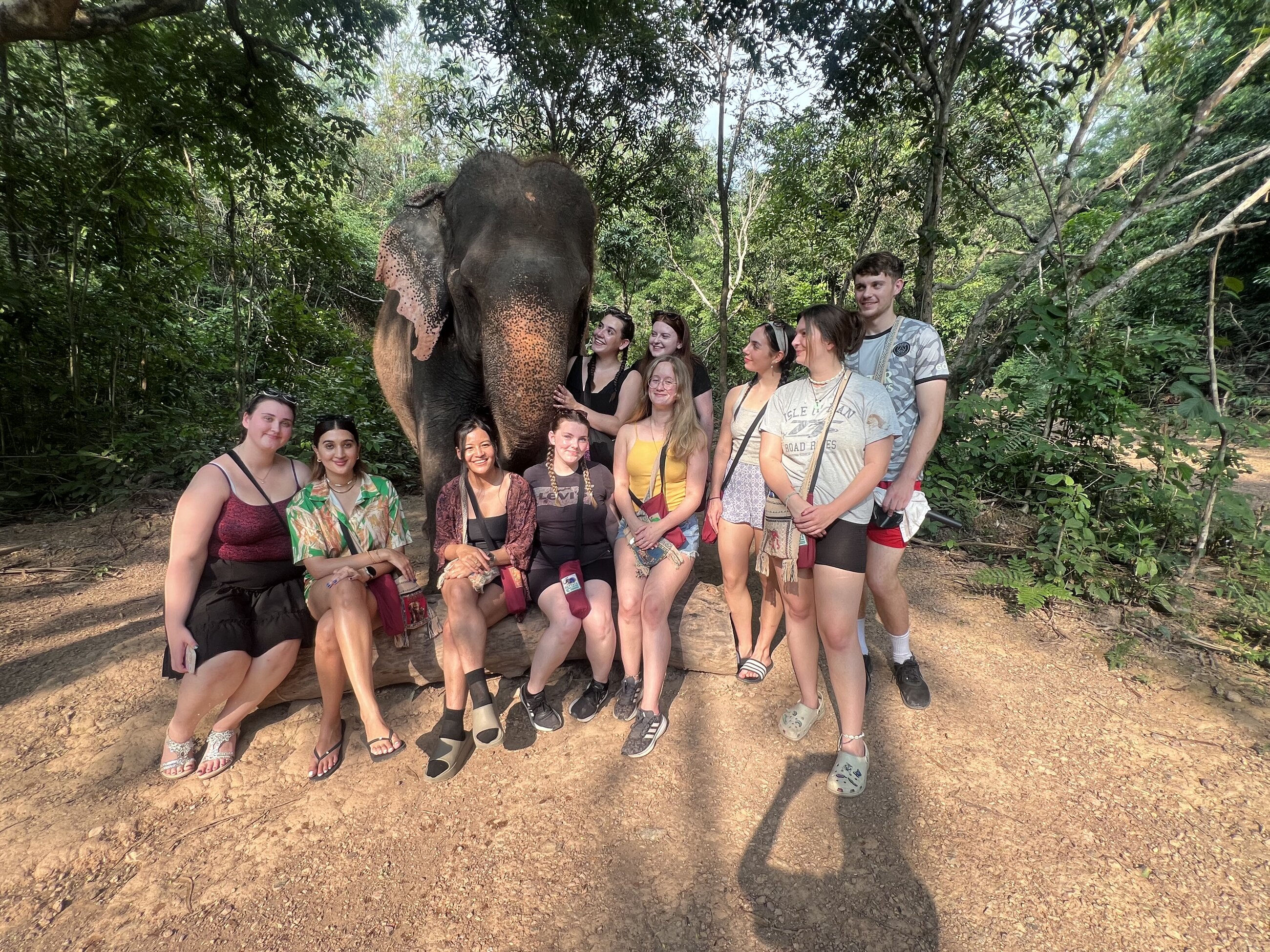Visiting the elephant sanctuary