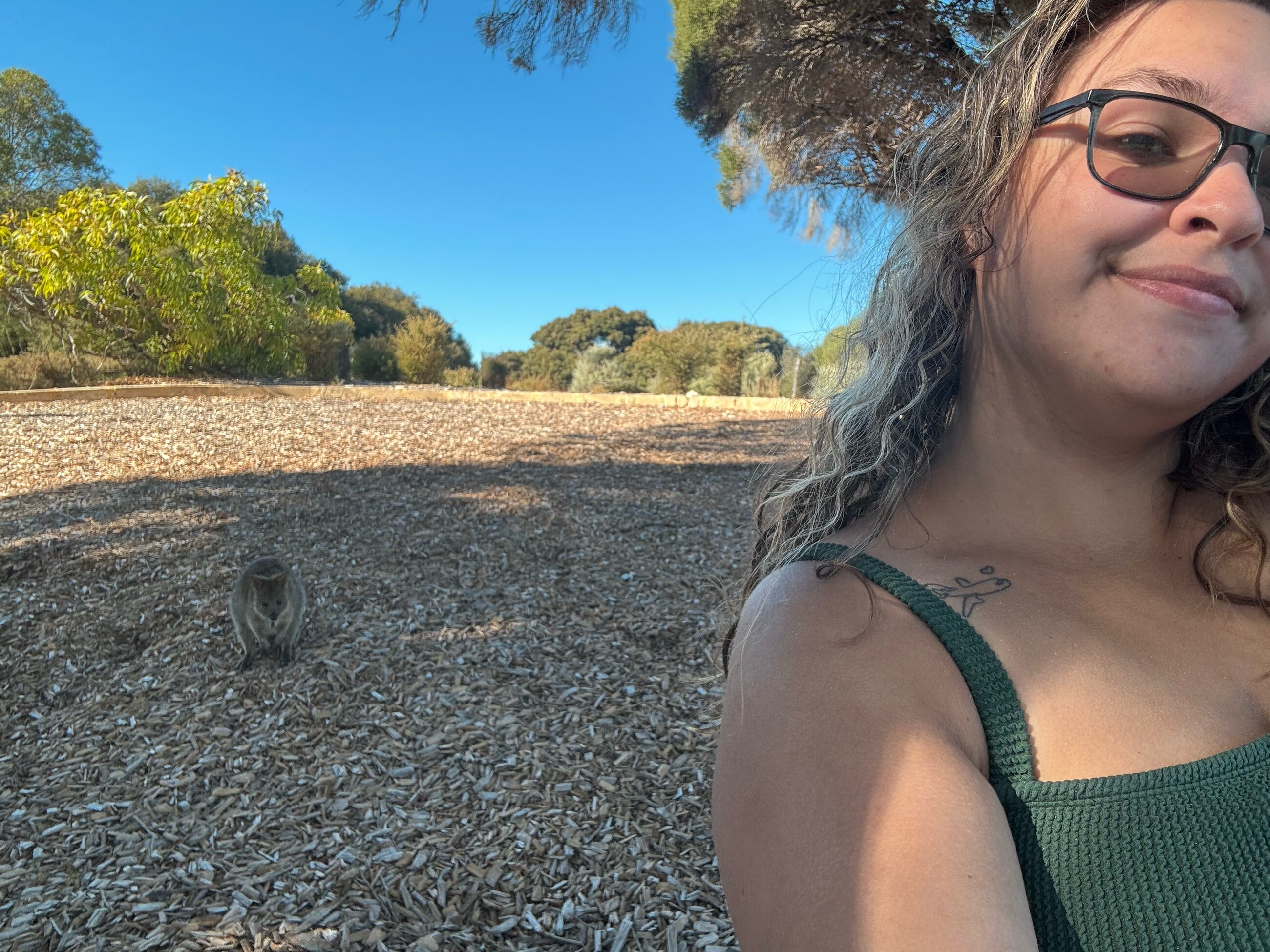 Me and a quokka at Rottnest Island in Perth!
