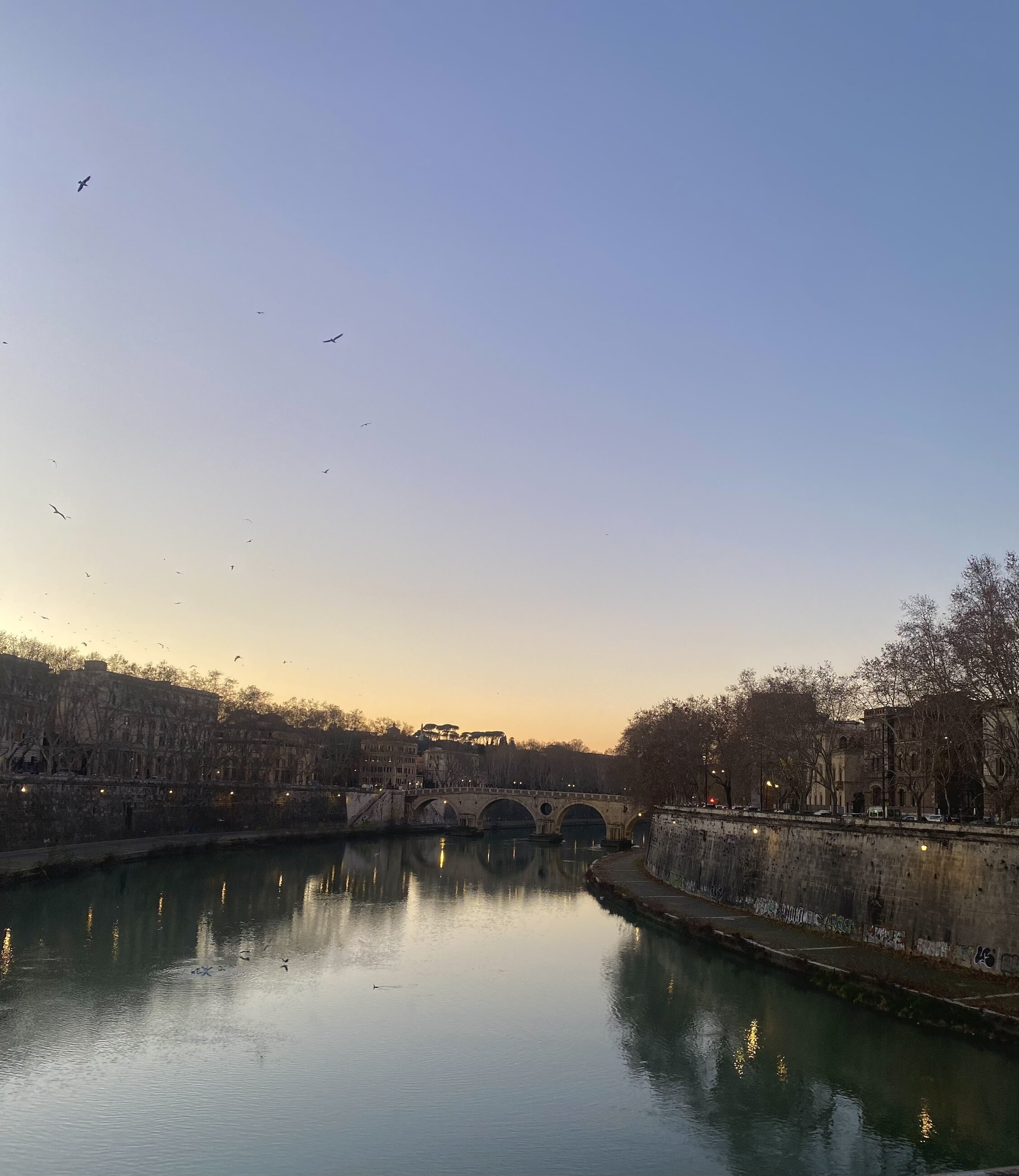 View from Tiber River