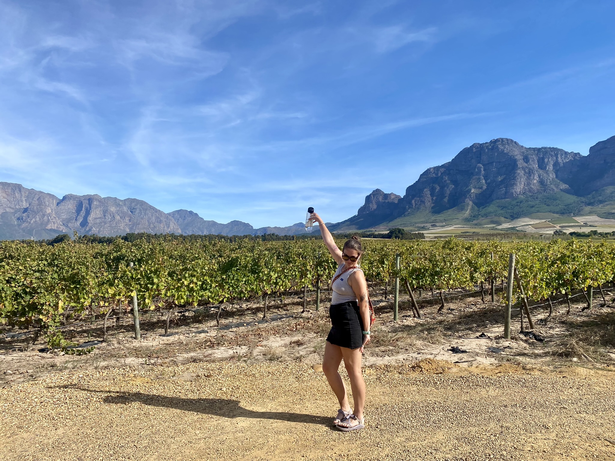 Cape Winelands