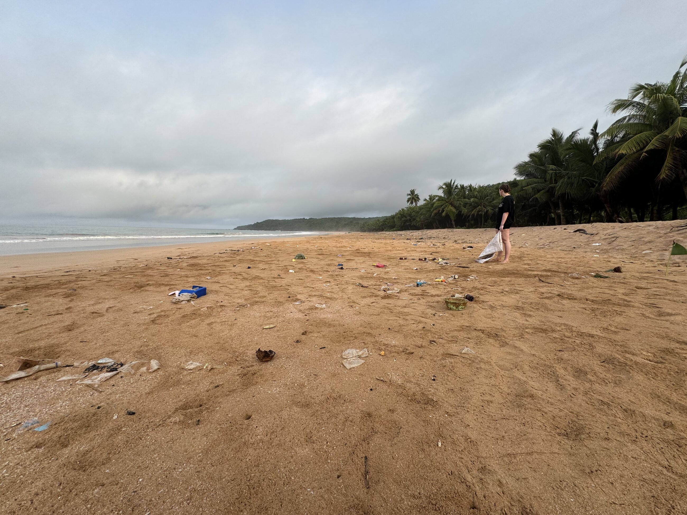 Beach clean-up
