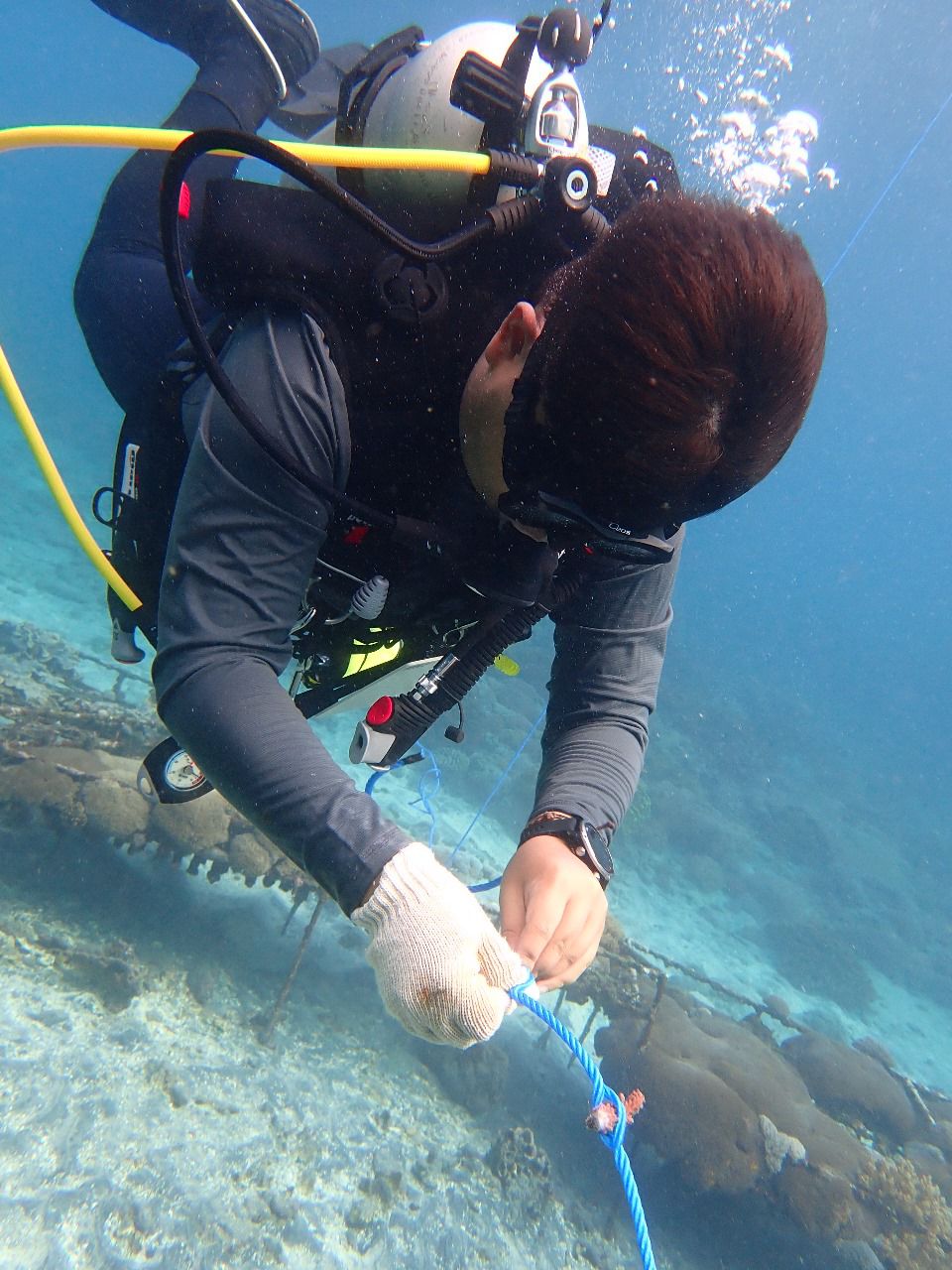 Coral Planting Day