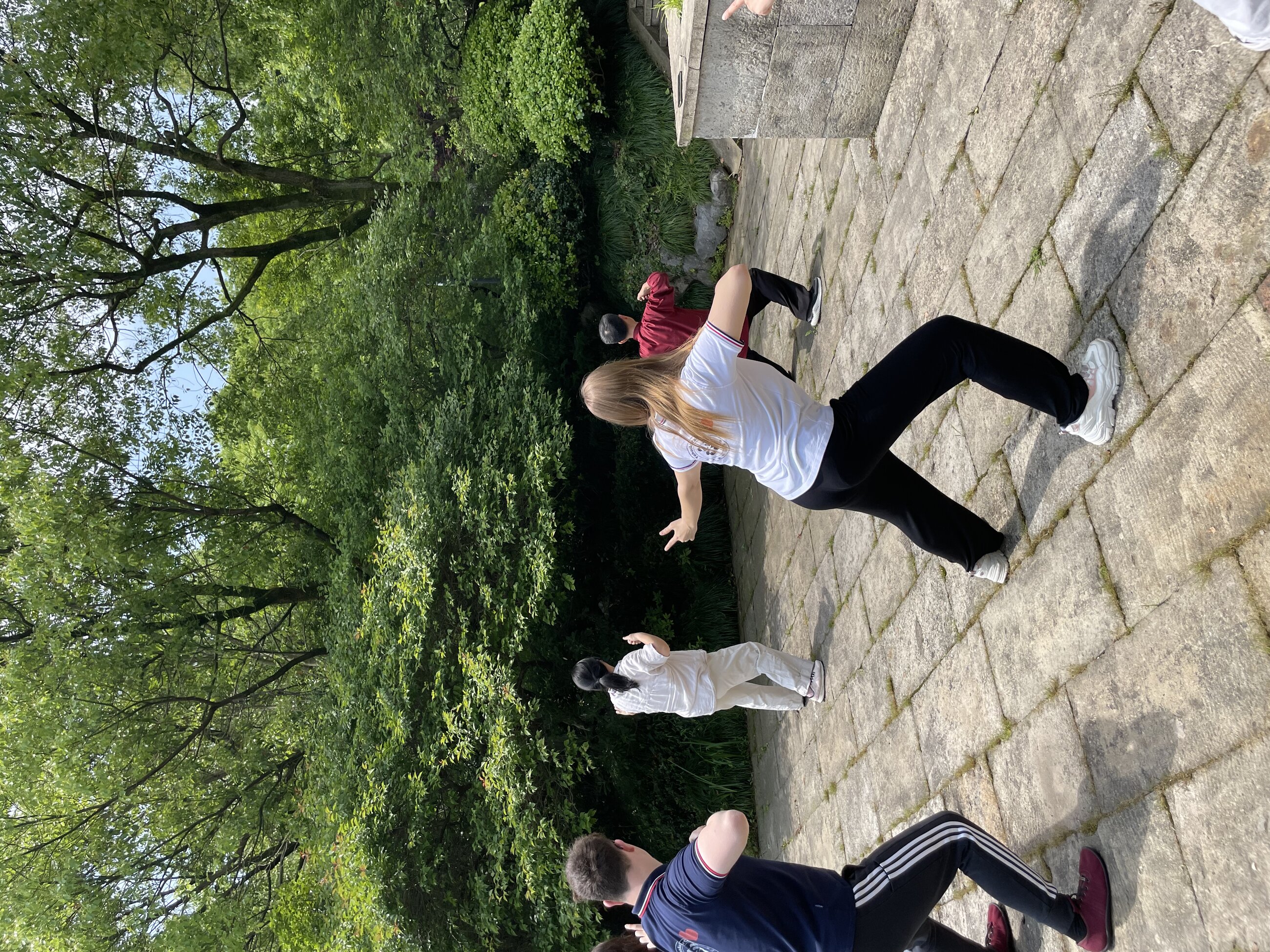 Taichi experience
