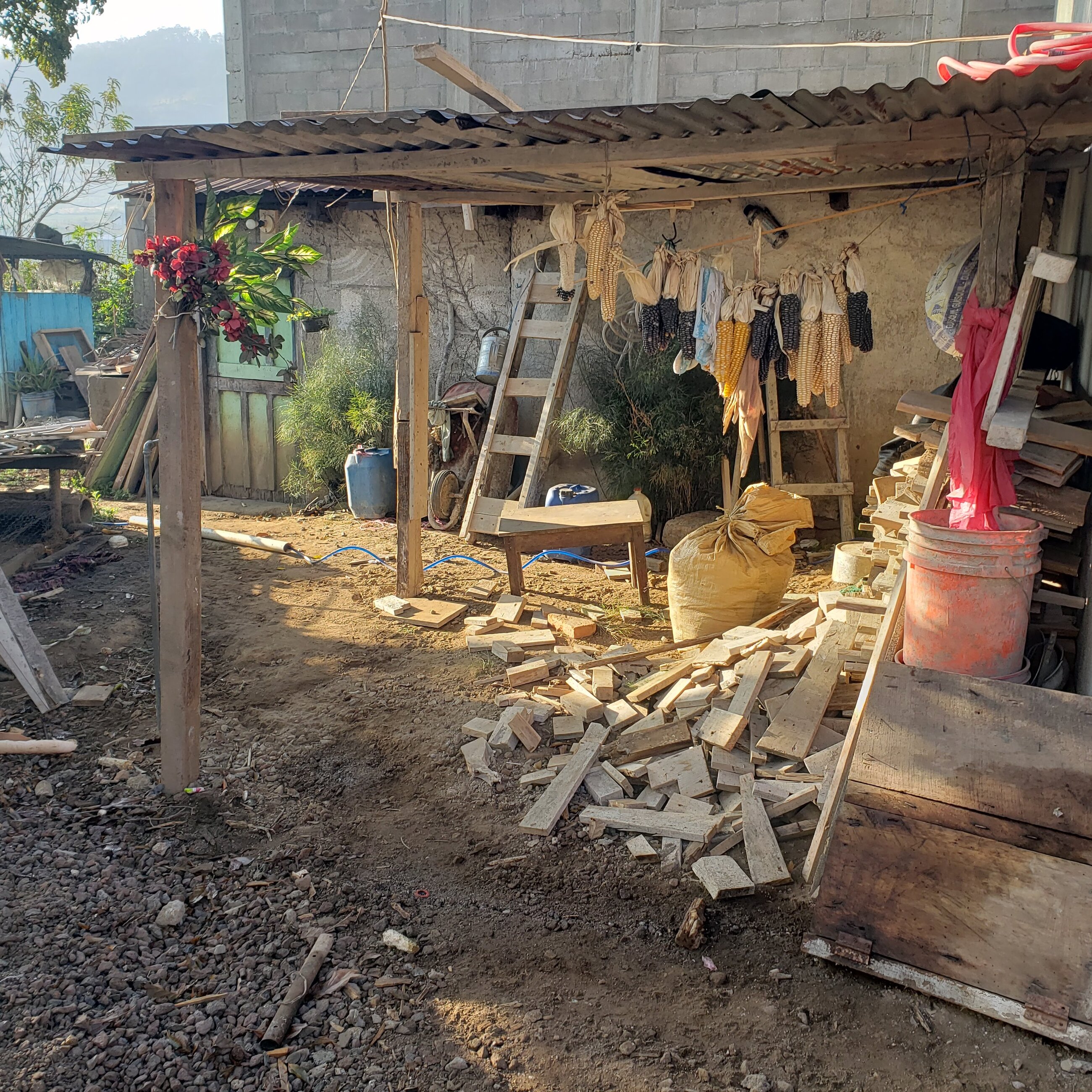 Life in the village
