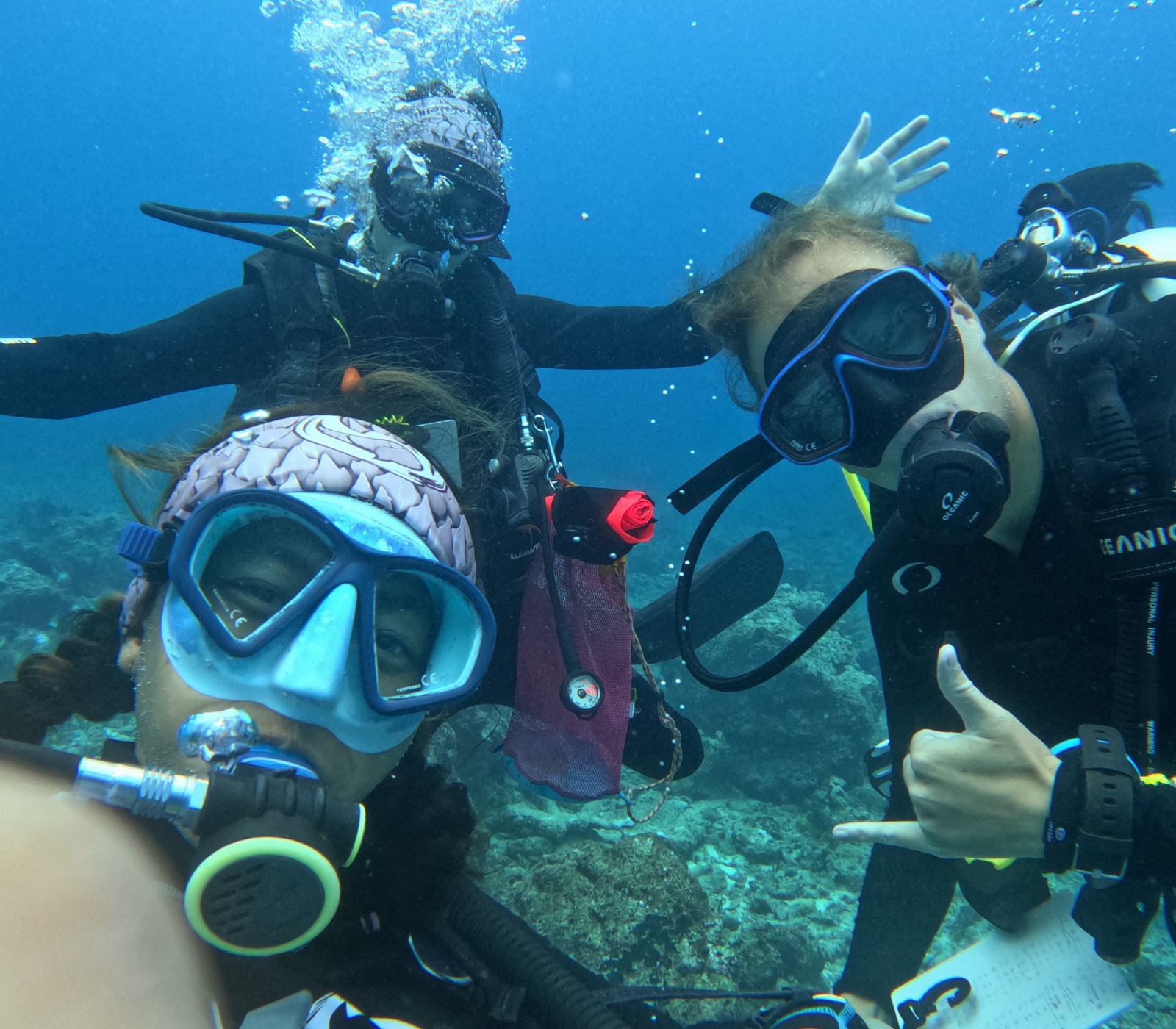 best dive buddies around