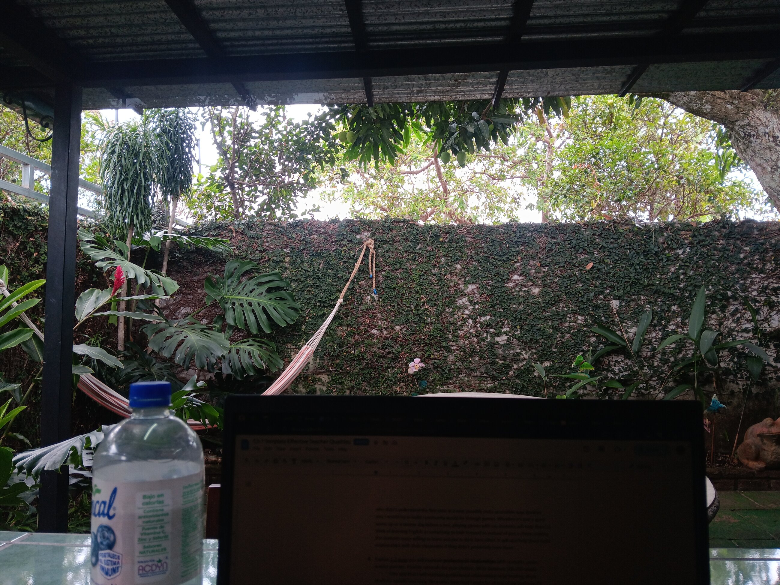 My view as I worked on my lesson plans