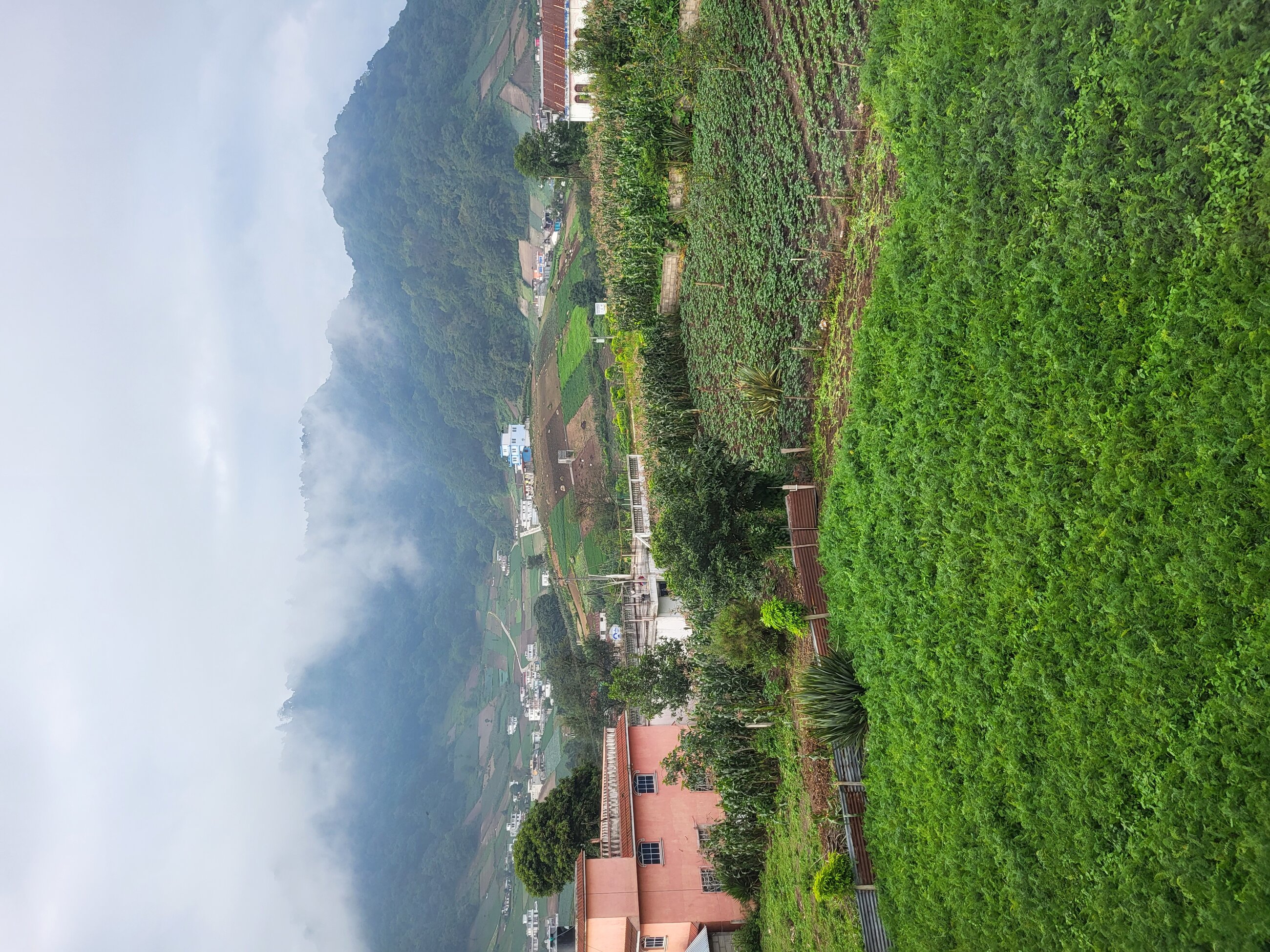 View from the Xela Aid/Local Hope clinic