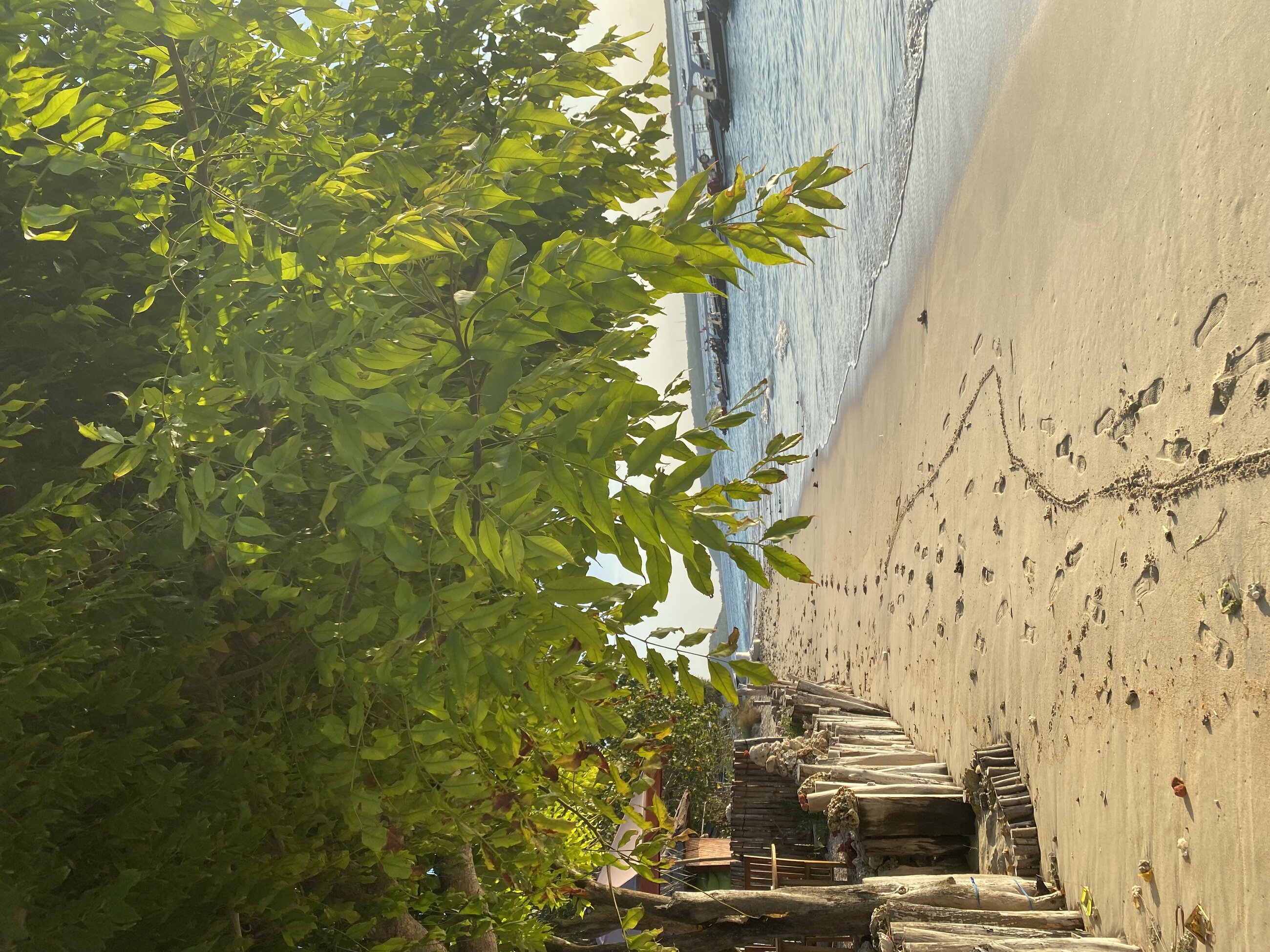 The beach