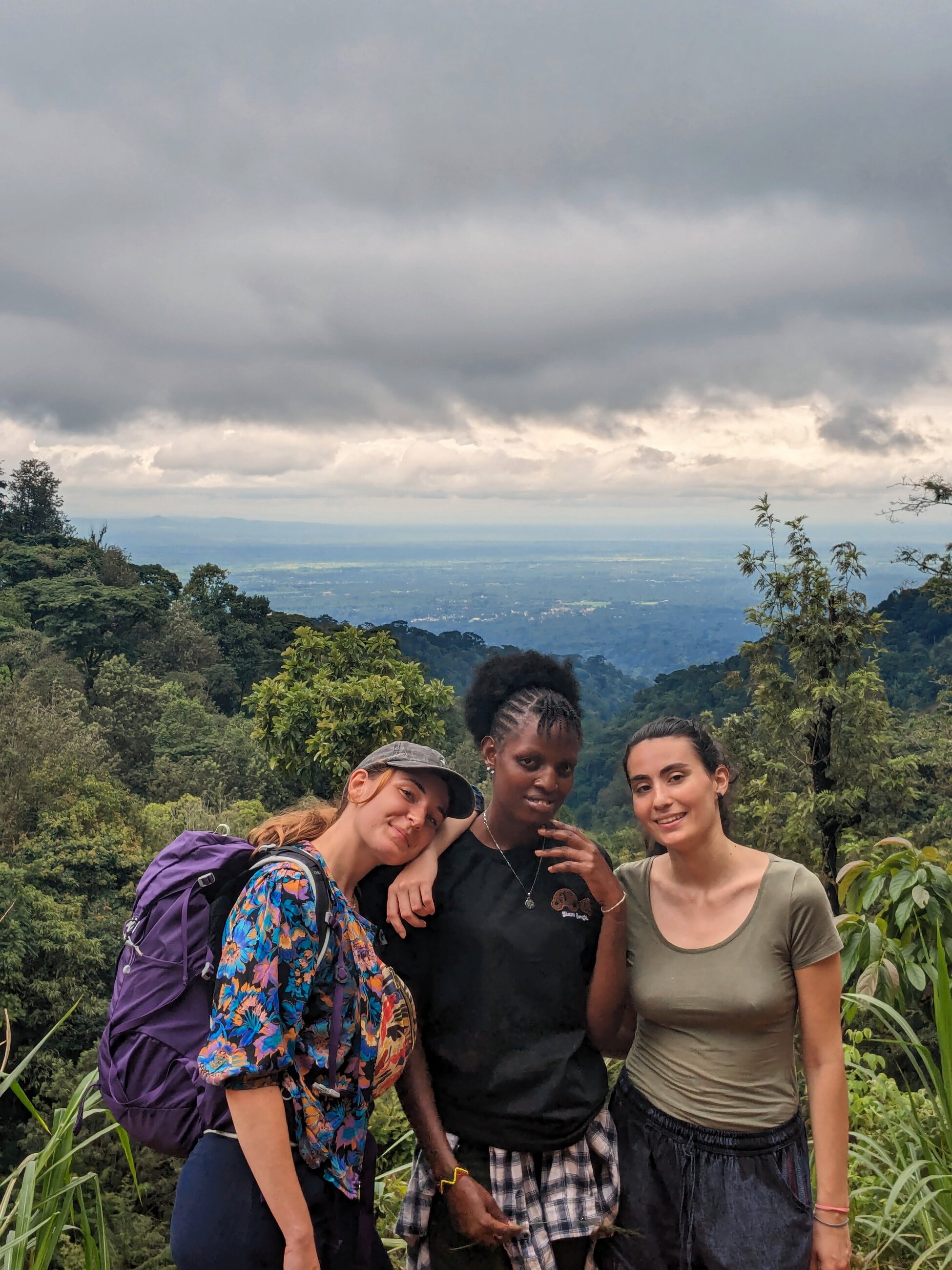 Hiking in Kilimanjaro National Park