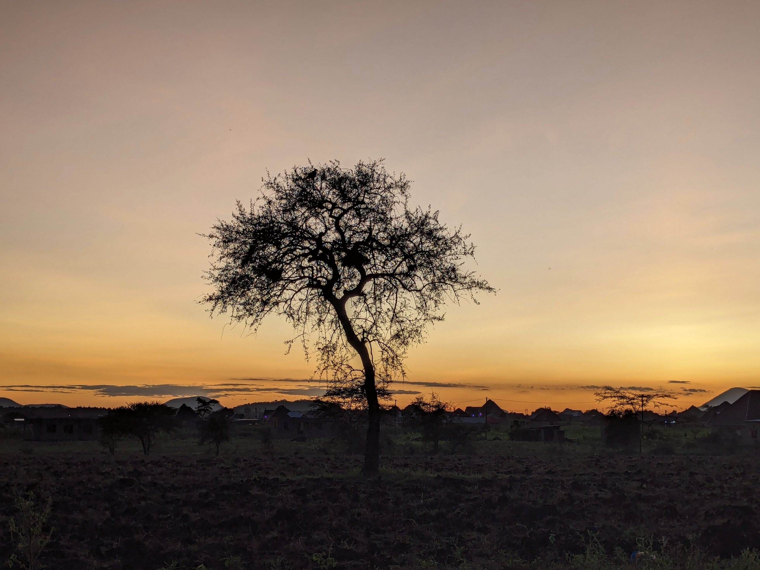 Sunset in the village