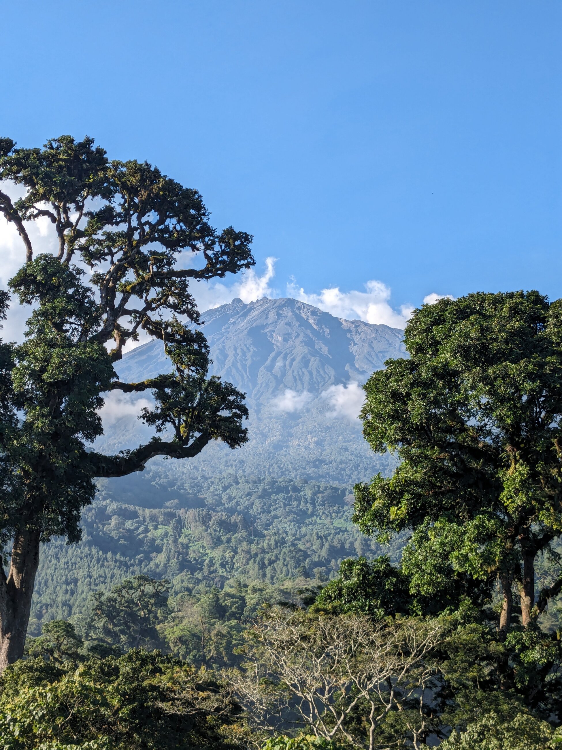 View of Mount Meru on a hike