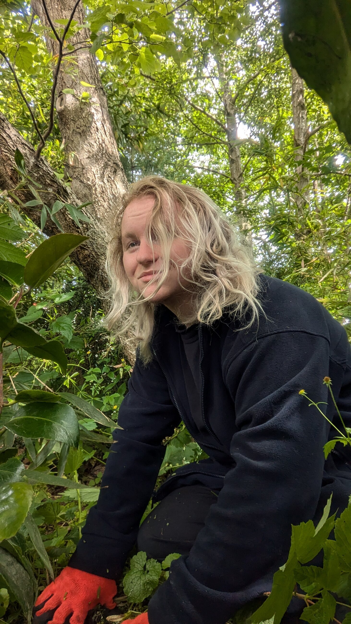 Pulling weeds in the zoo 