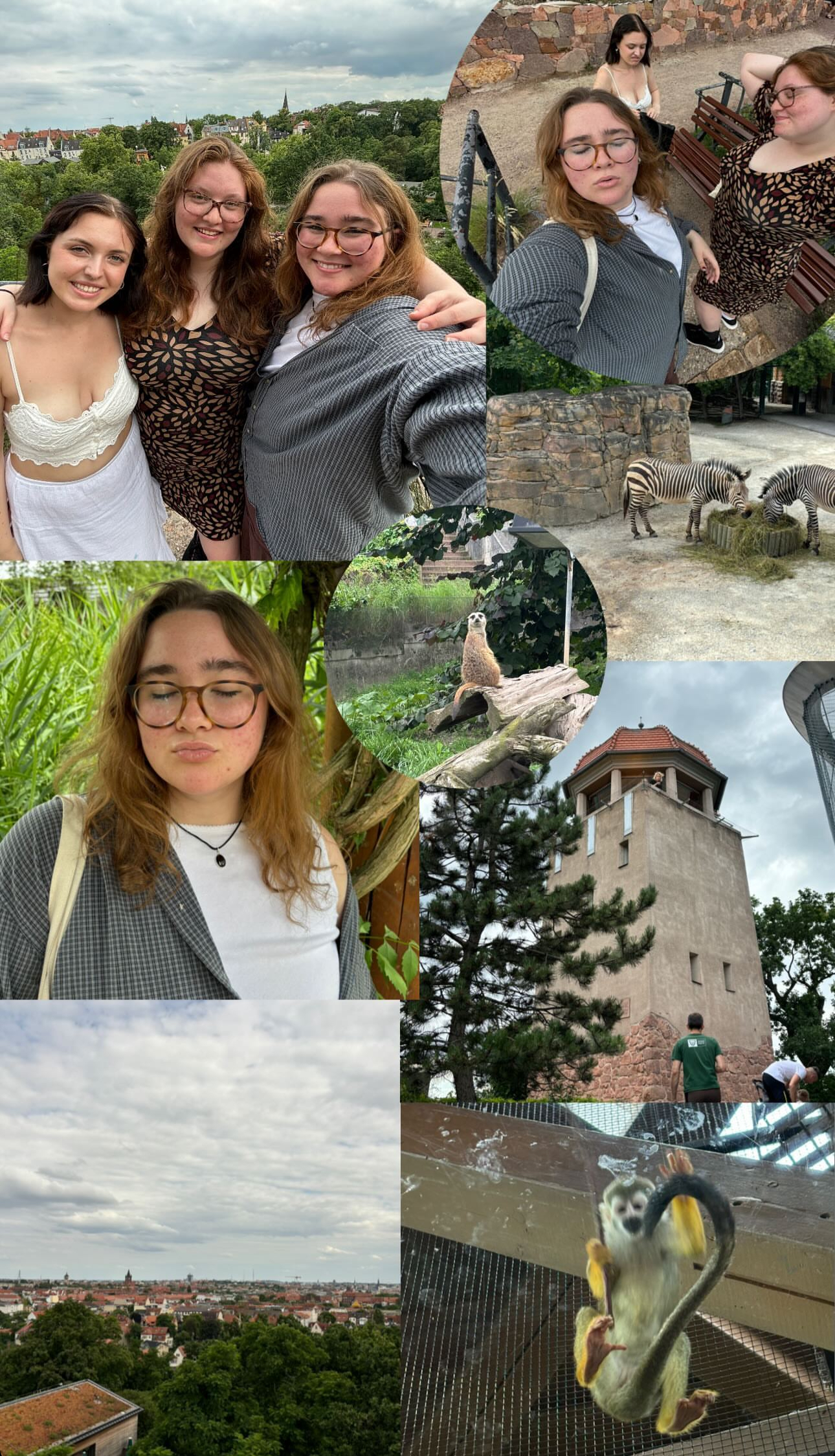 Halle zoo 
