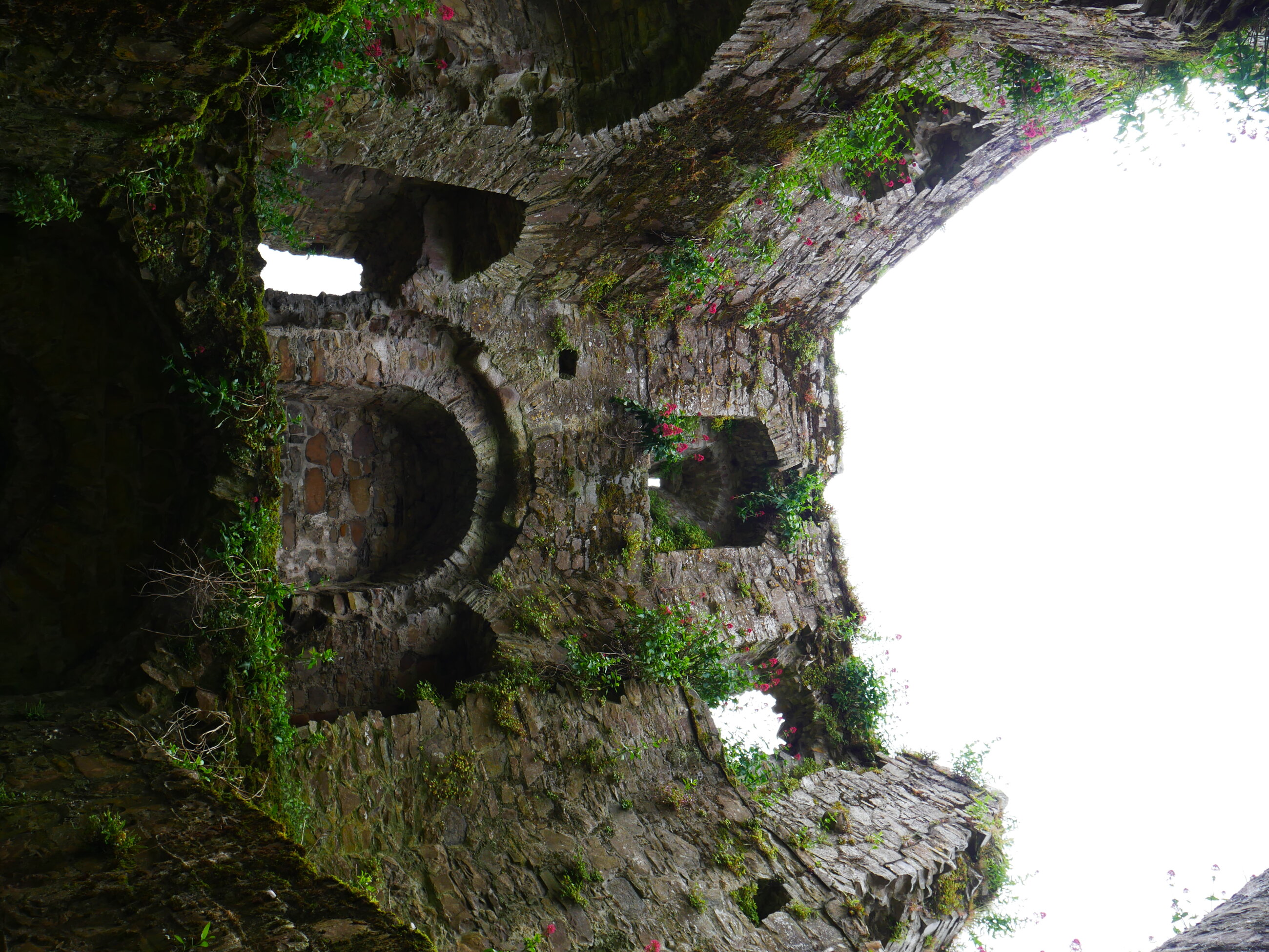 Trim Castle