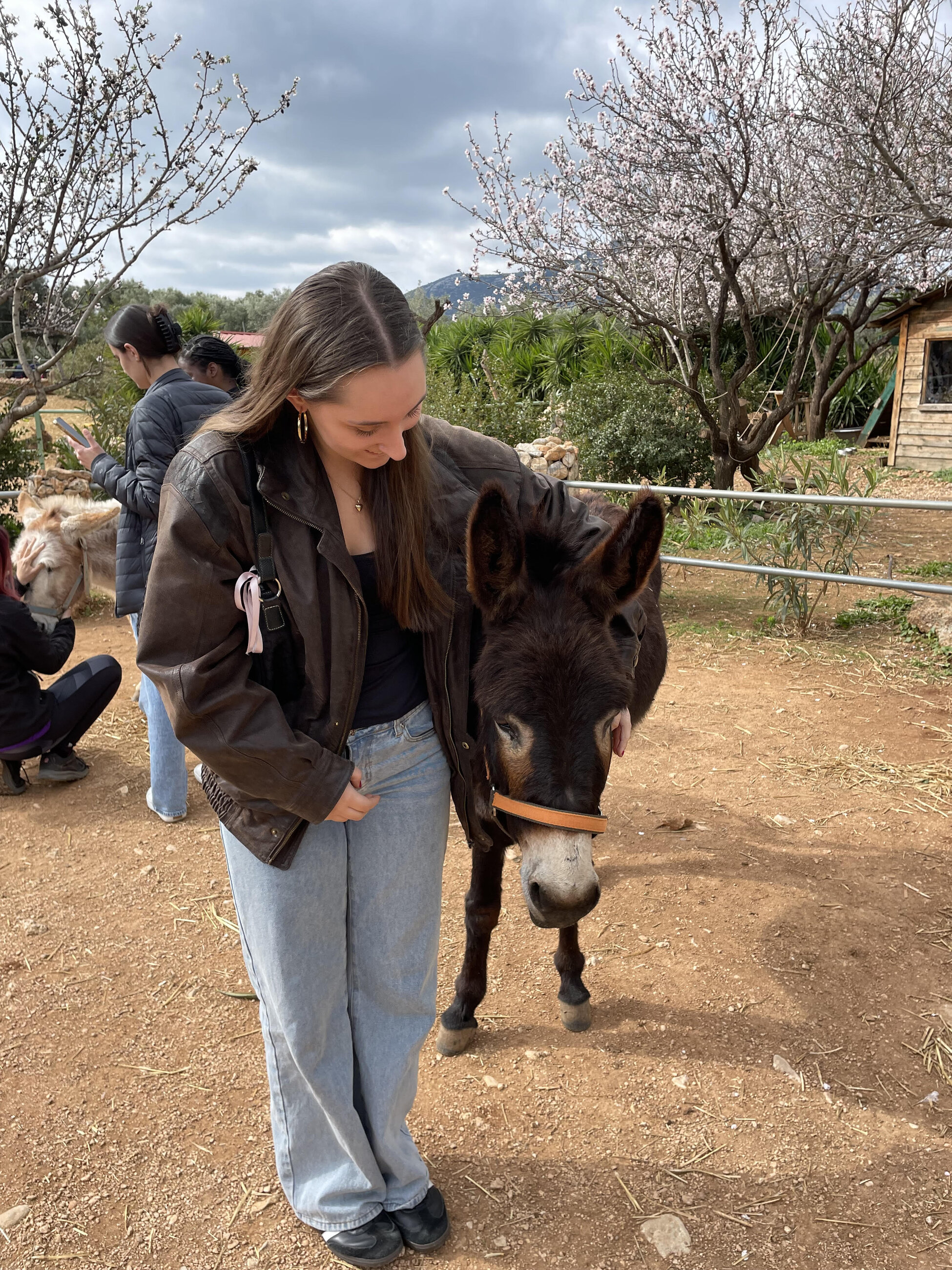 Visiting a donkey sanctuary as one of CYA's de-stress activities during midterms!