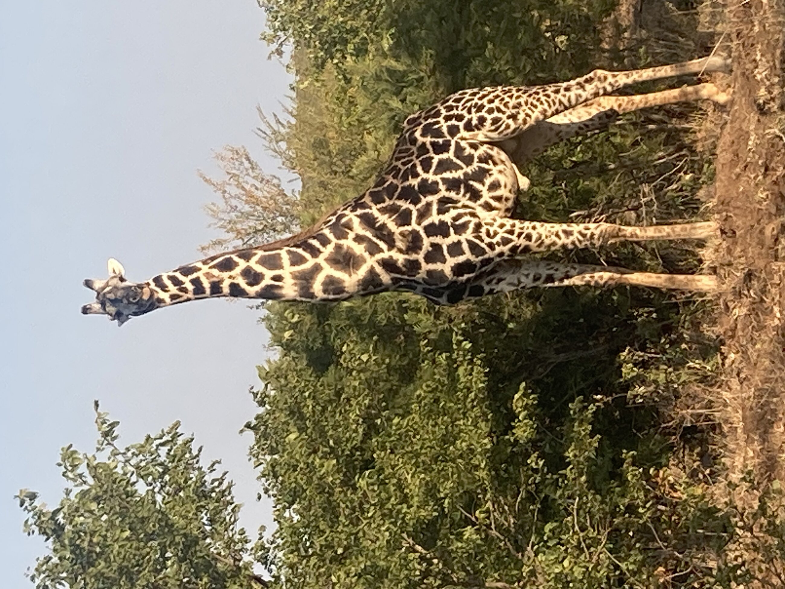 Here's looking at you, big boy!