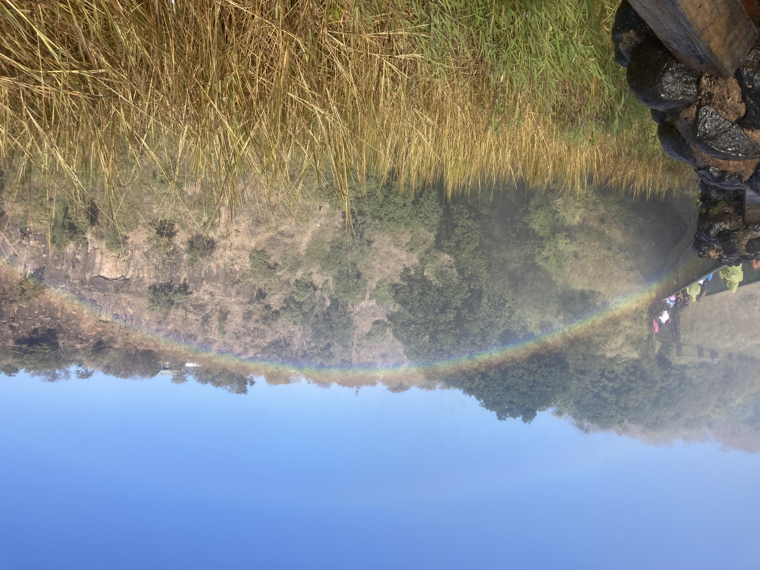 Somewhere over the rainbow ... rushes Victoria Falls!